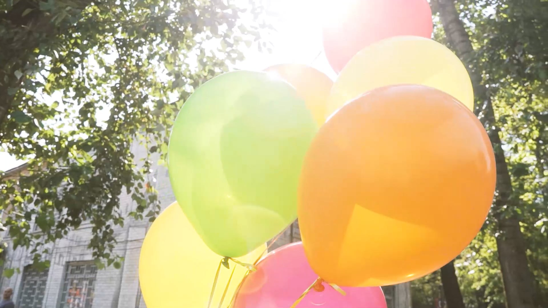 1 сентября. Видеограф Осинина Татьяна — видеосъемка в Москве