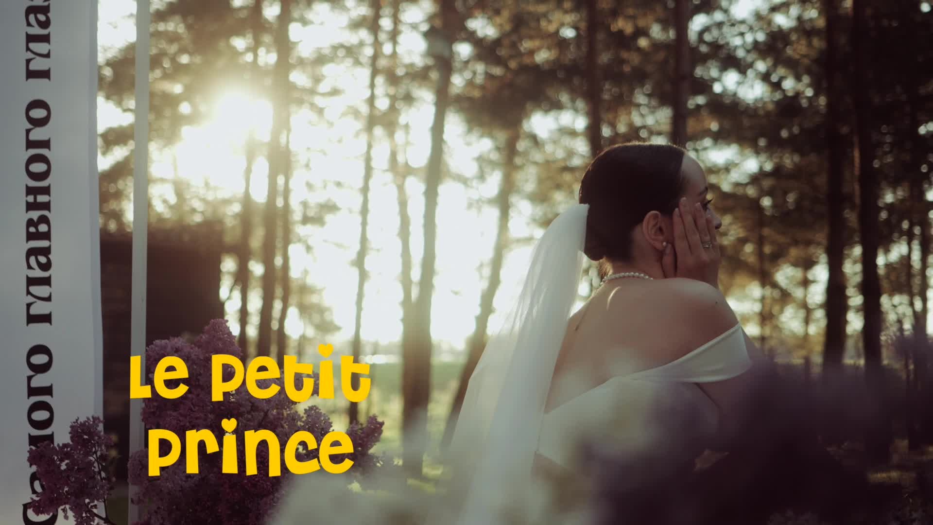 Портфолио. LUCIFILMS | VIDEOGRAPHY