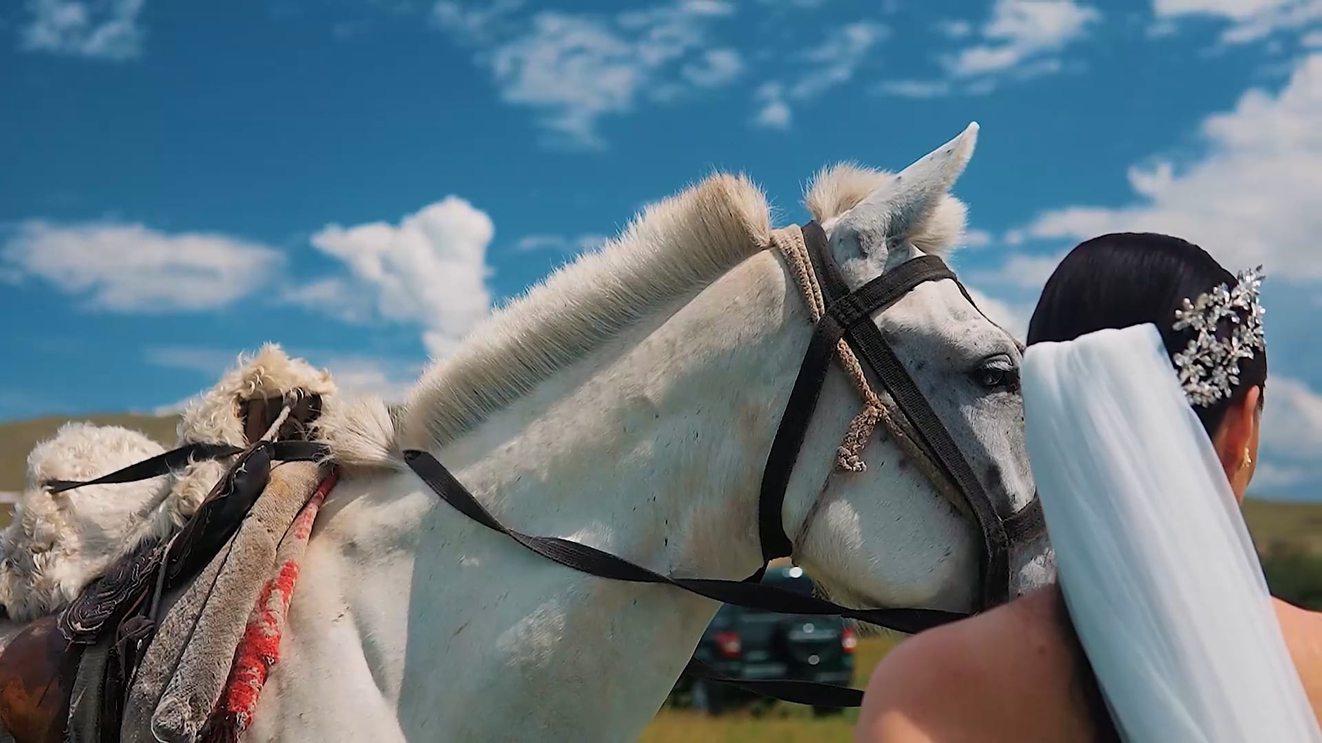Видео. SHUDE TUVA — фотограф и видеограф в Кызыле