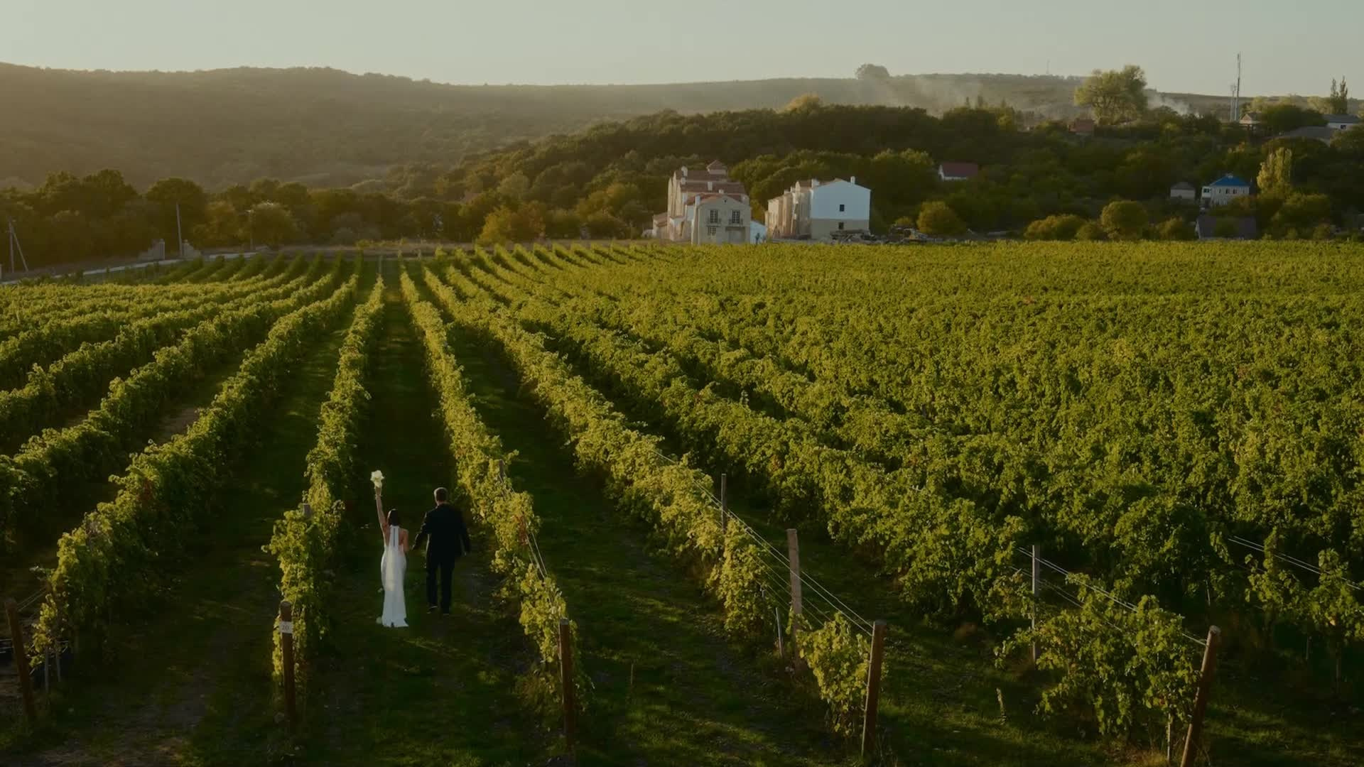 Свадебный ролики. Plenka Films