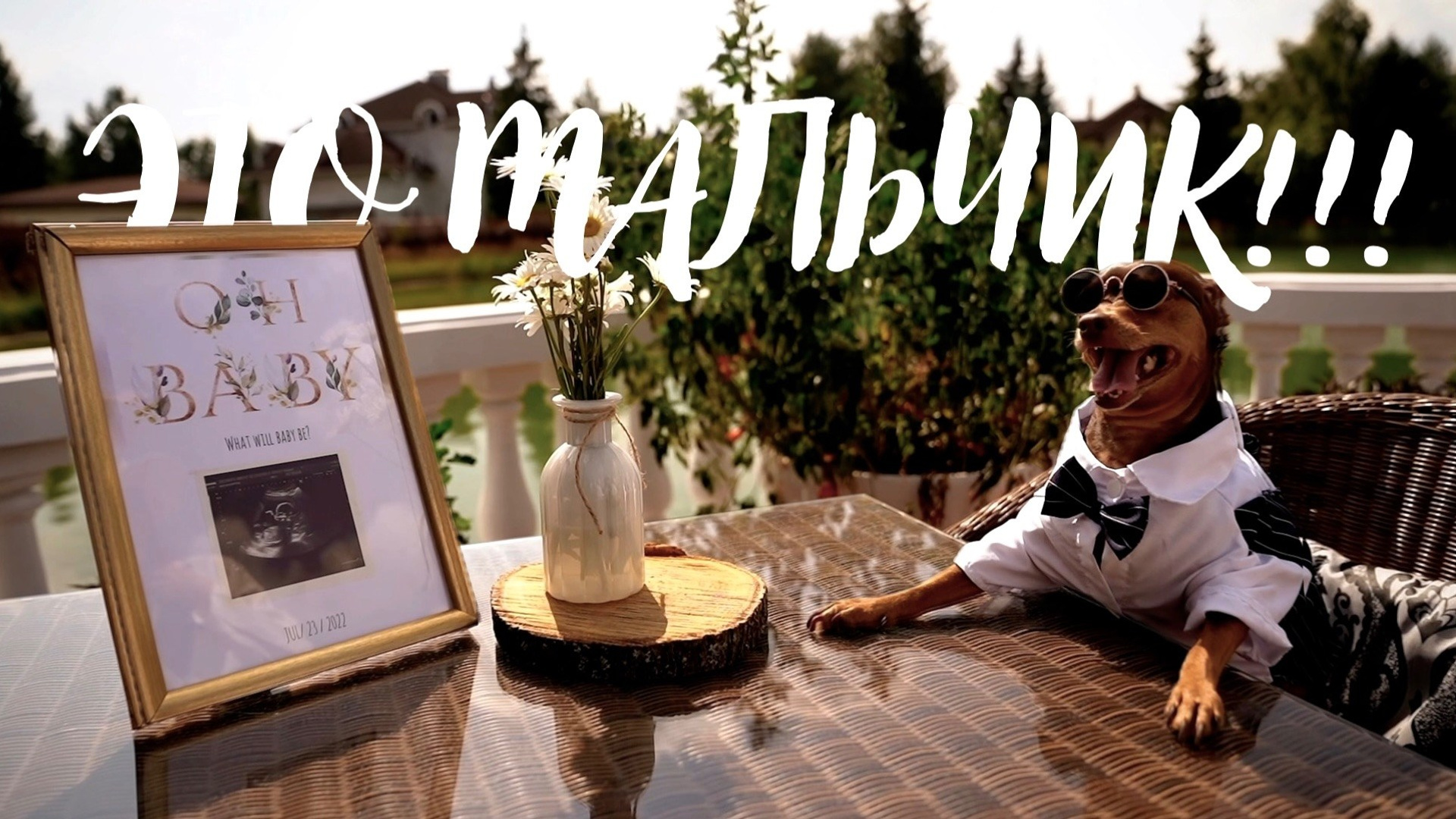 ДЕТСКИЕ и СЕМЕЙНЫЕ ИСТОРИИ. Свадебный и Семейный видеограф в Москве Анастасия Торжкова