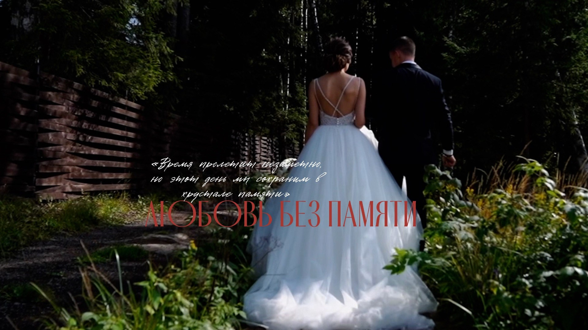 Свадебные клипы и рилсы. Свадебный и Семейный видеограф в Москве Анастасия Торжкова