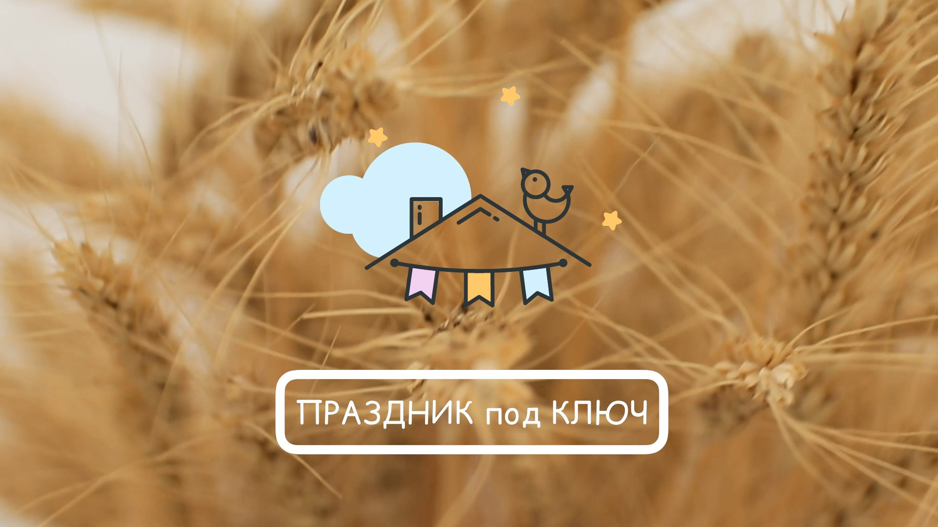 Рекламное видео