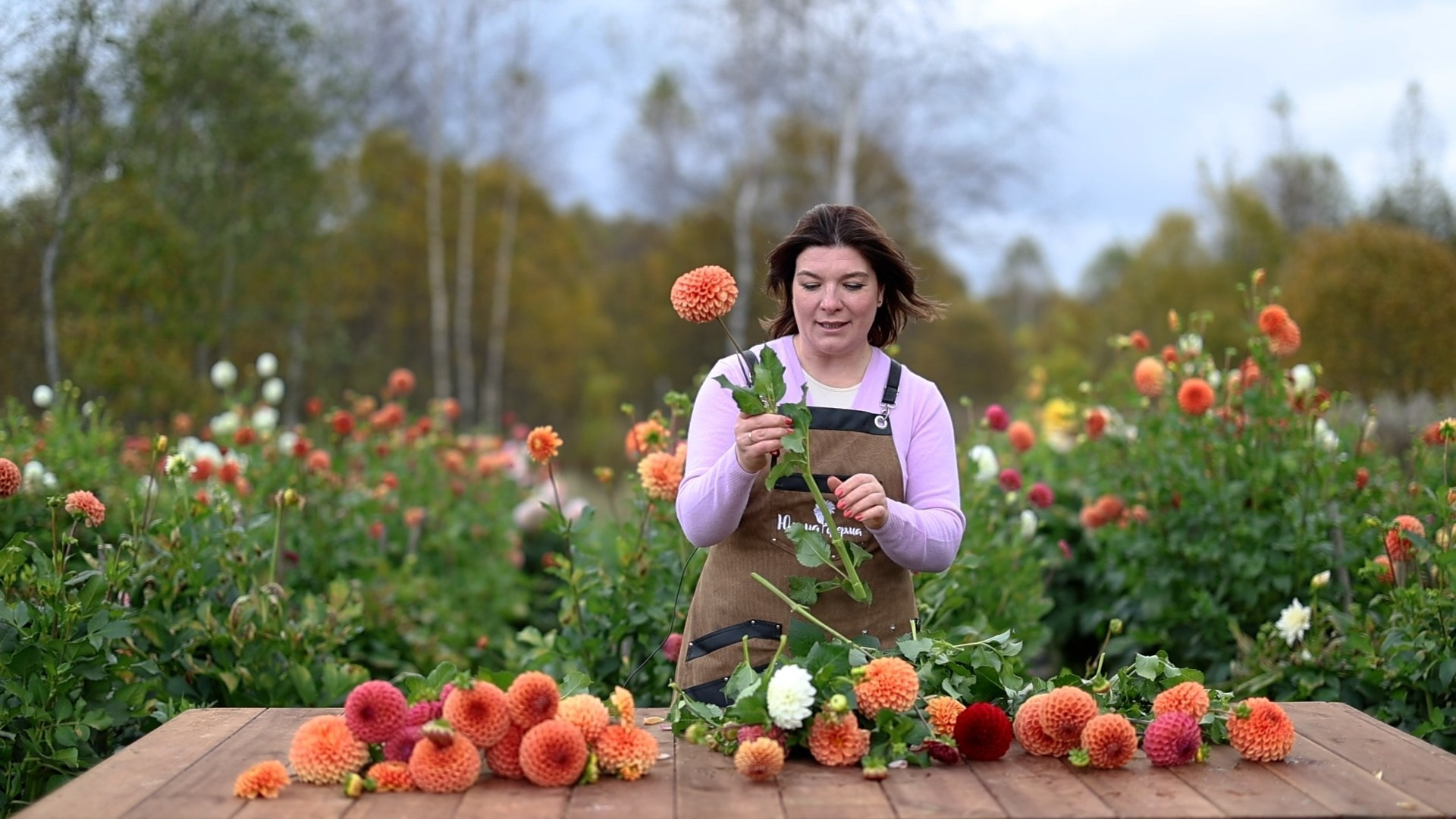 Интервью. Фотограф и Видеограф