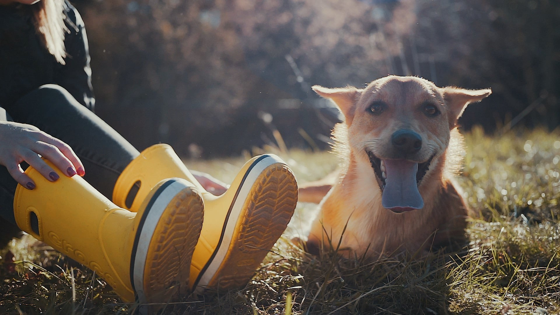 Кино. Семейный видеограф Ольга Роткина, Москва