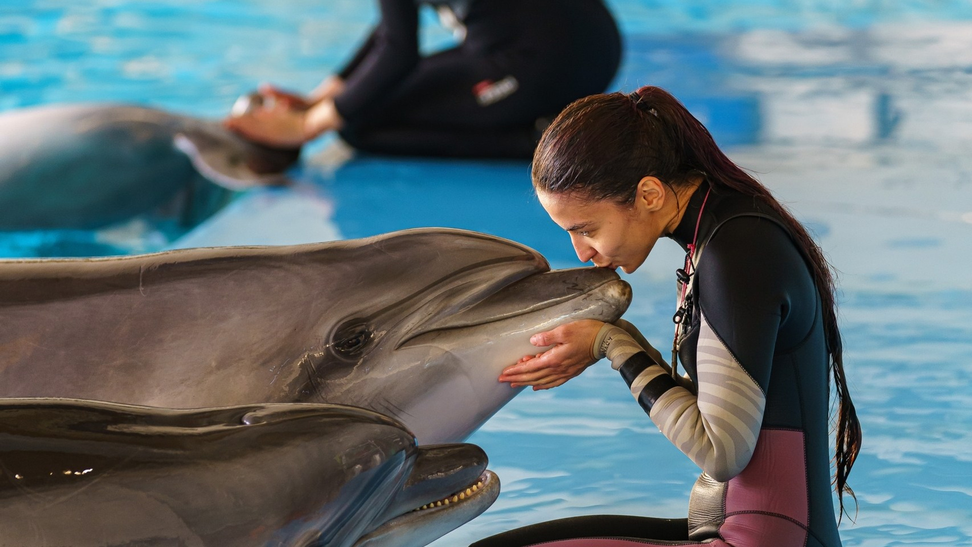 Репортаж. ФЕСС-ФОТО/ВИДЕО