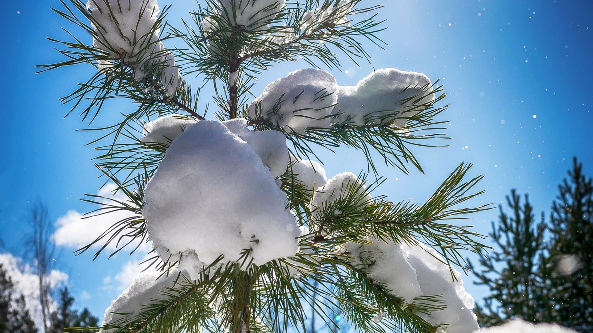 Пейзажи. ФЕСС-ФОТО/ВИДЕО