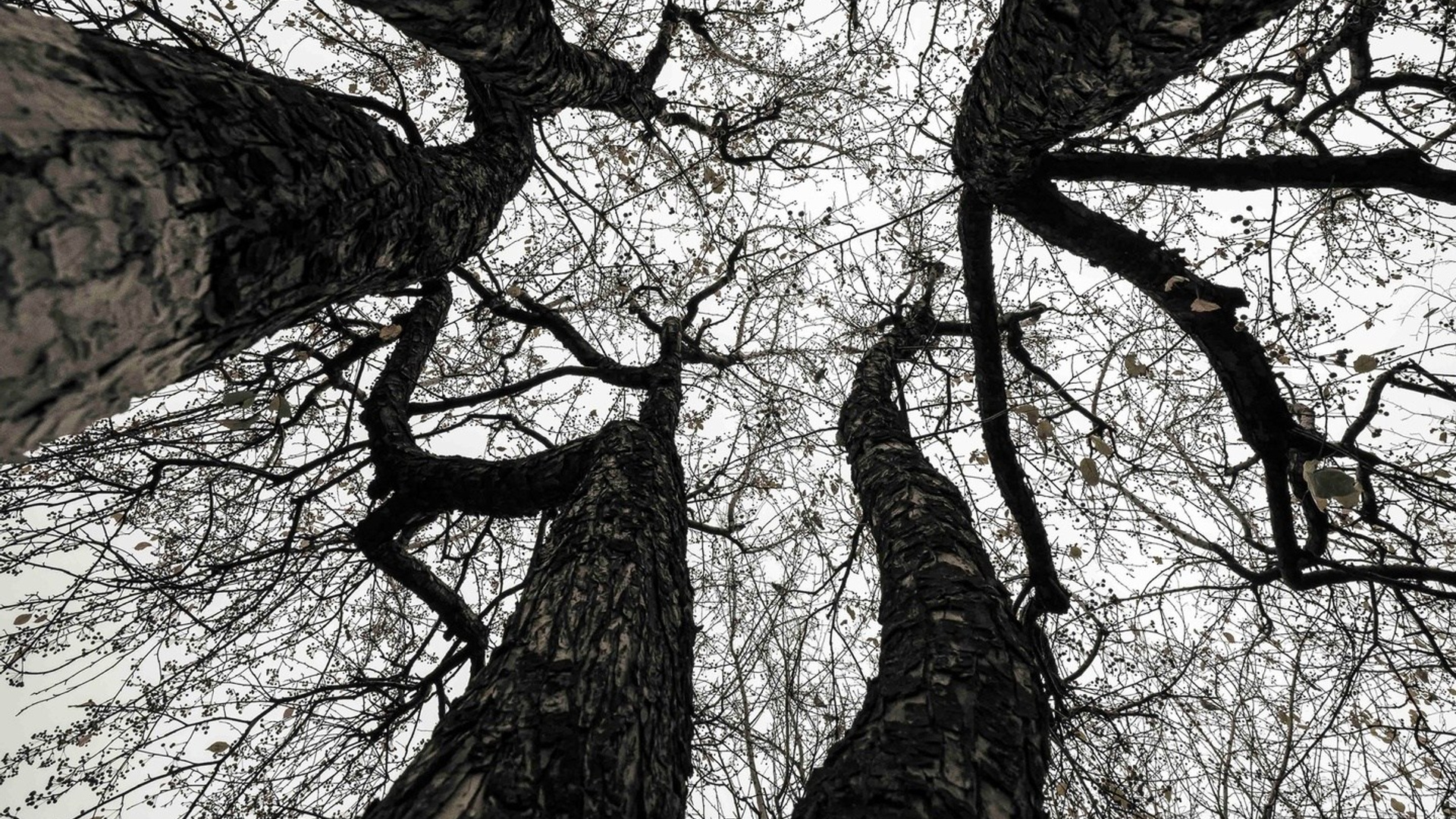 Пейзажи. ФЕСС-ФОТО/ВИДЕО