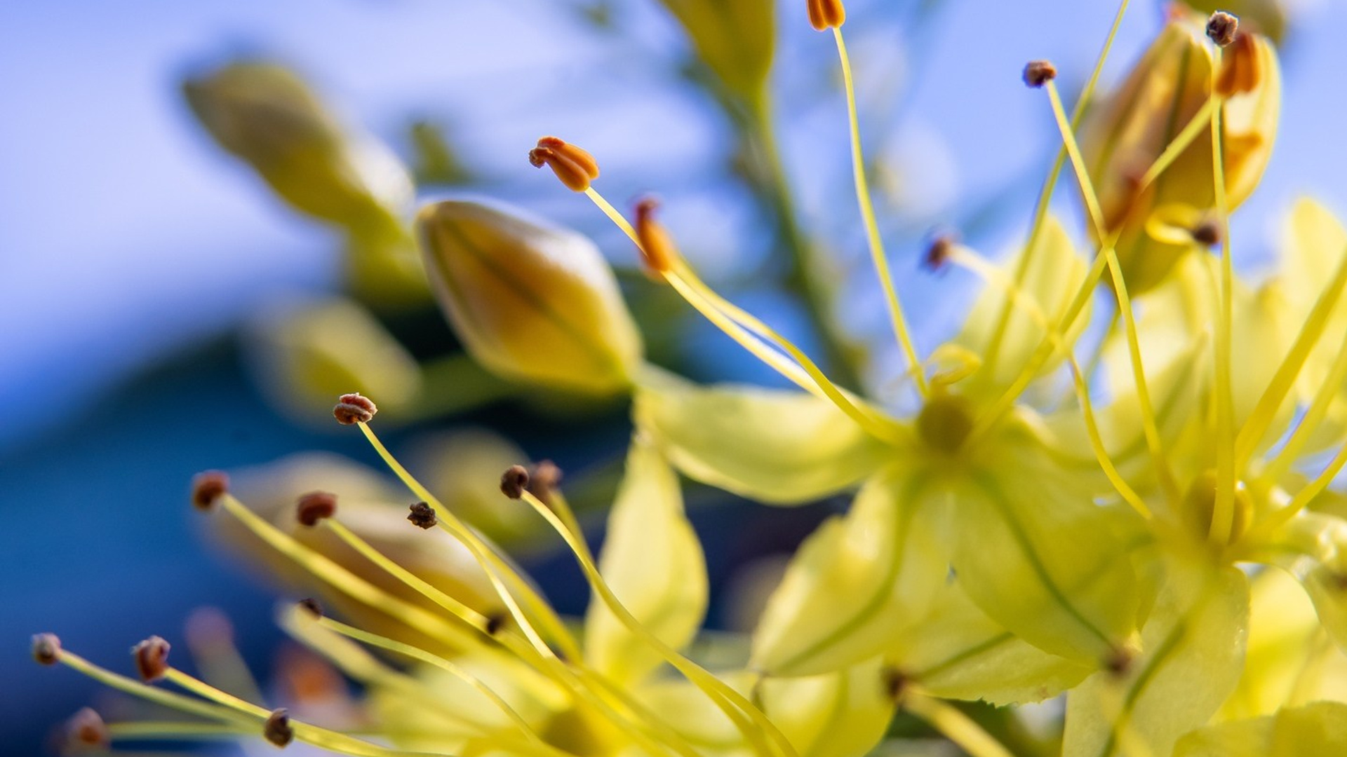 Пейзажи. ФЕСС-ФОТО/ВИДЕО