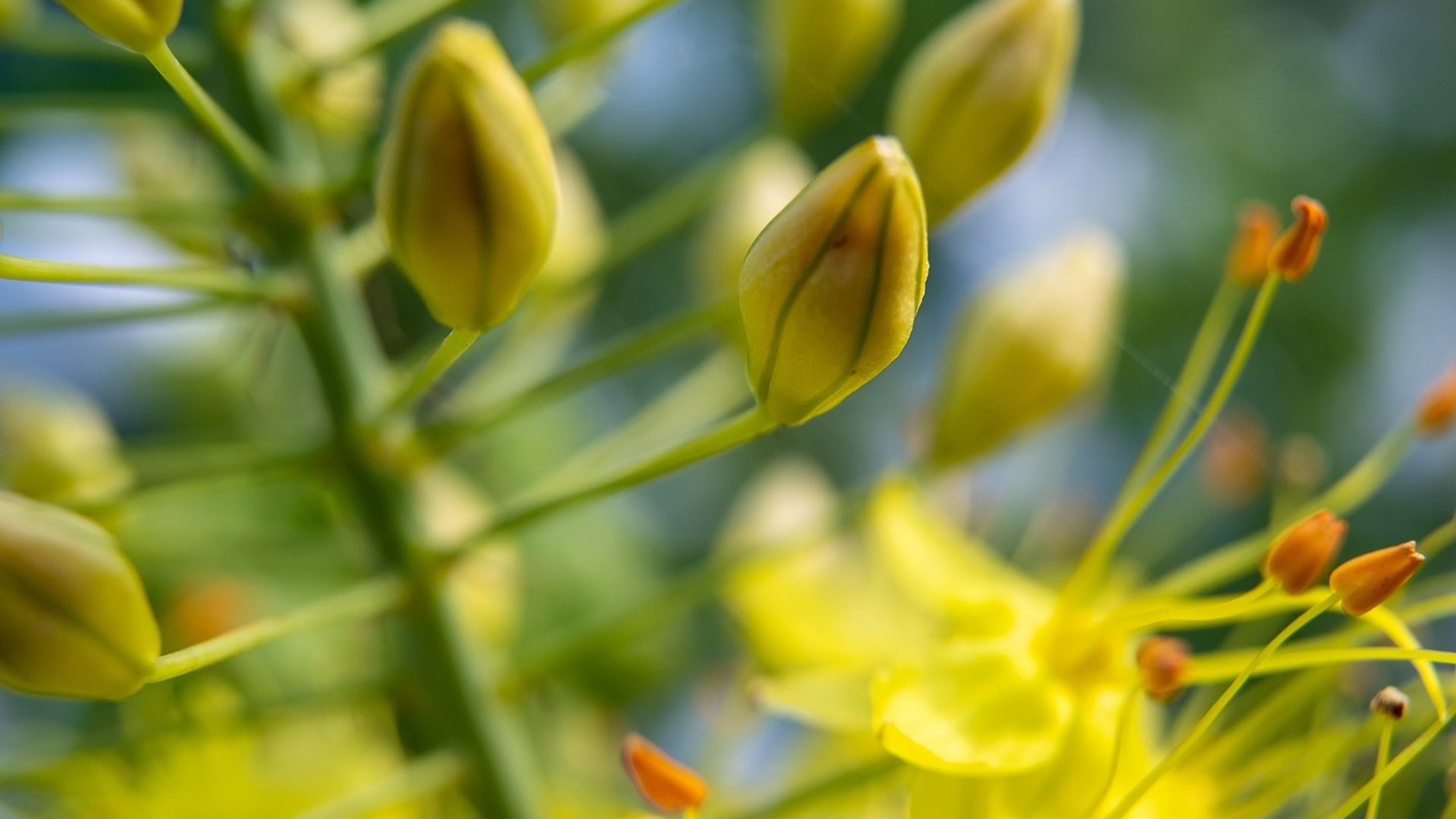 Пейзажи. ФЕСС-ФОТО/ВИДЕО