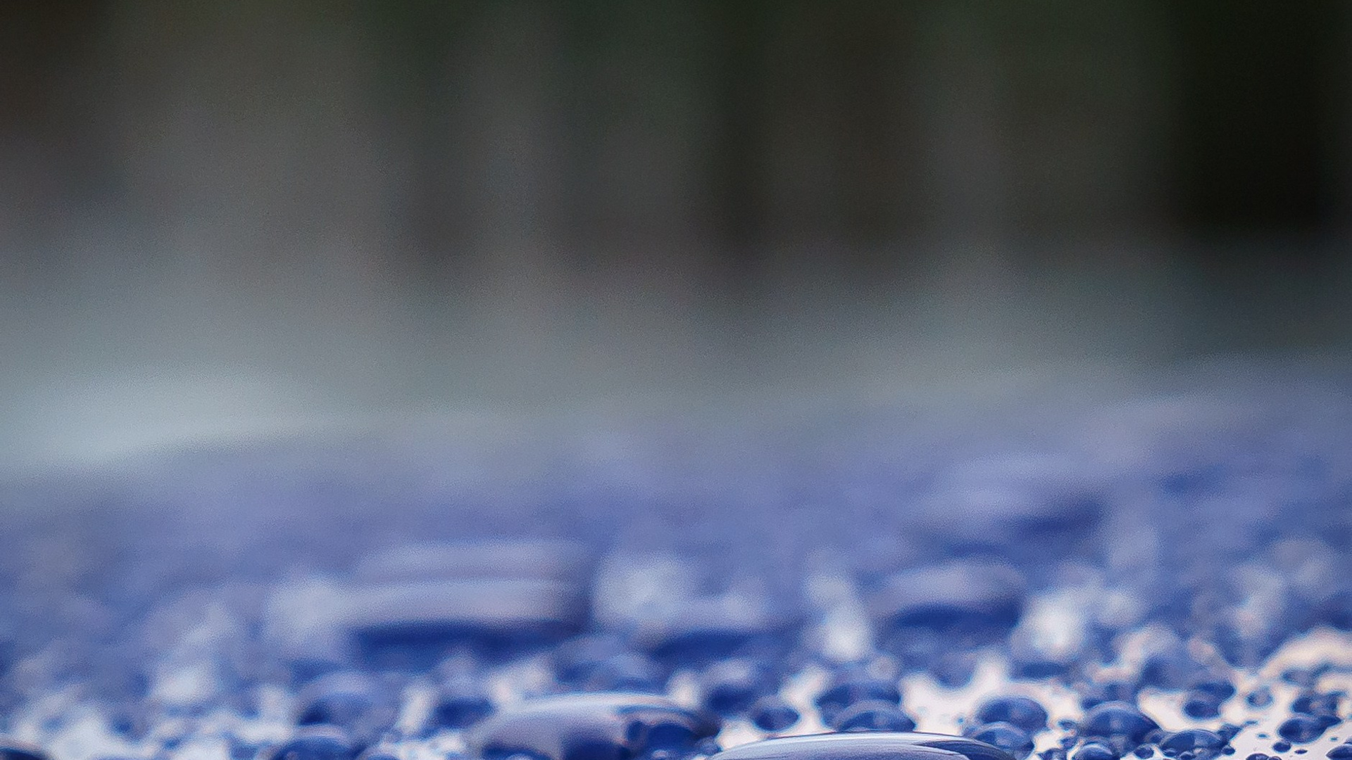 Пейзажи. ФЕСС-ФОТО/ВИДЕО