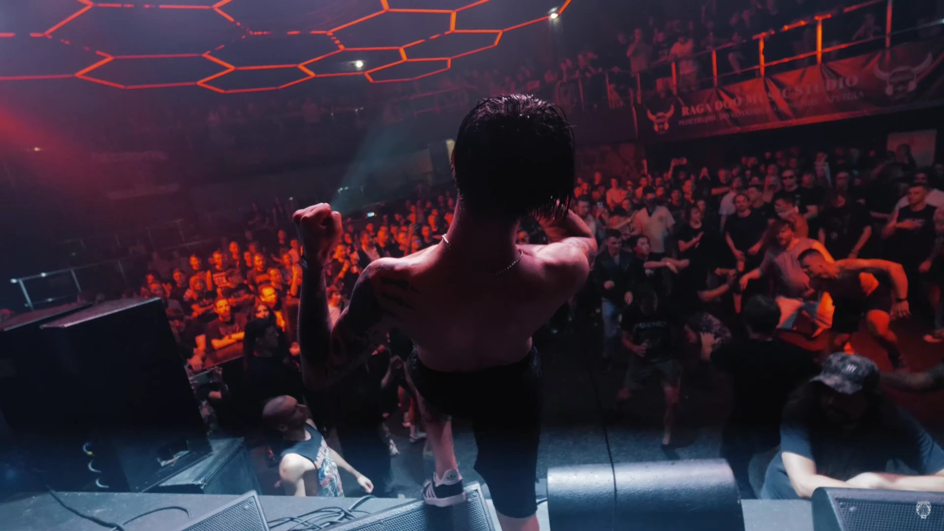 Клипы и концерты