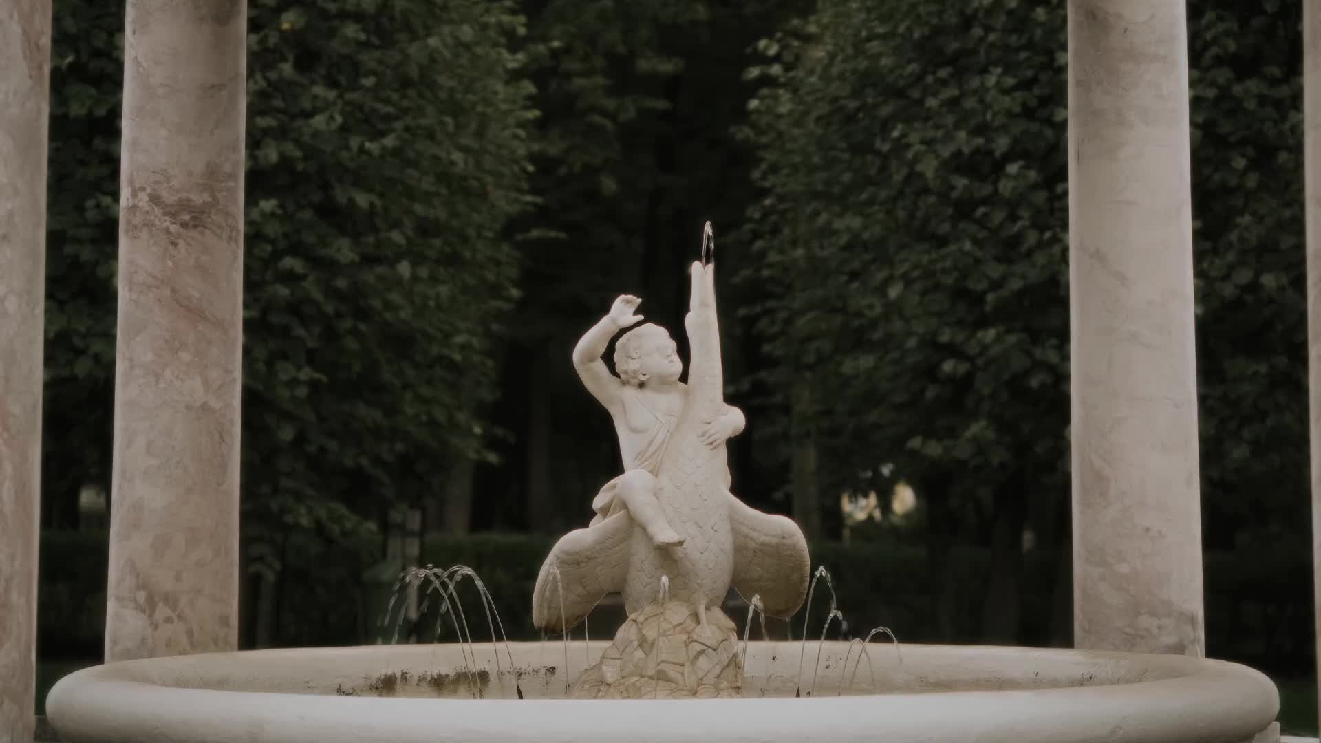 Свадебные клипы. Видеограф ИРИНА ШМИРКО