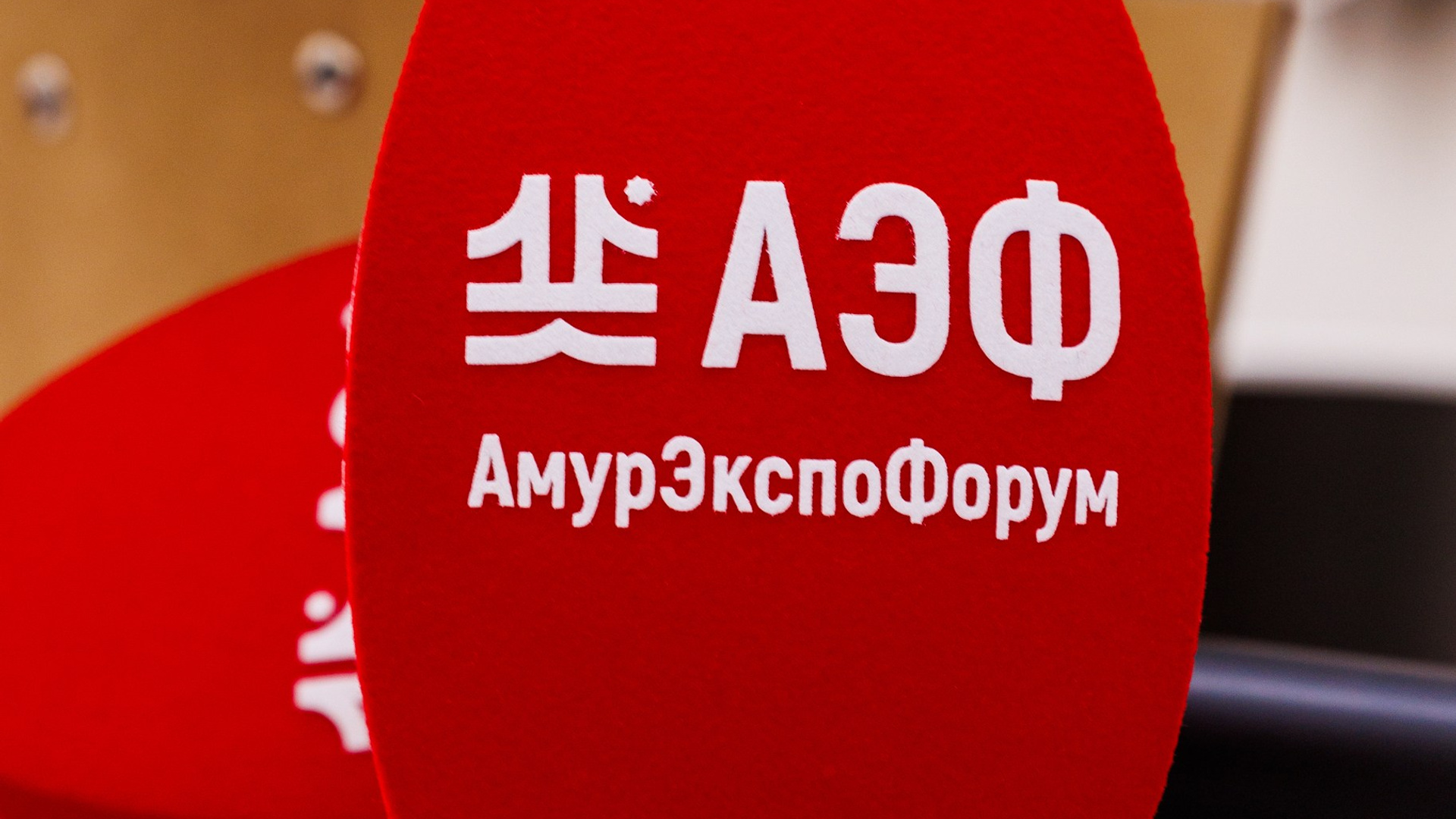 Российско-китайский экономический форум «АмурЭкспо» АЭФ