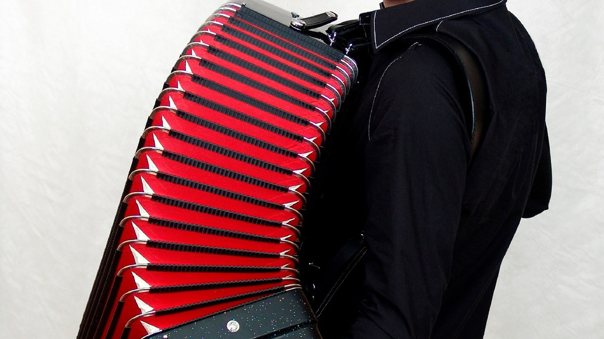 Достижения. Аккордеонист Мирослав Лелюх