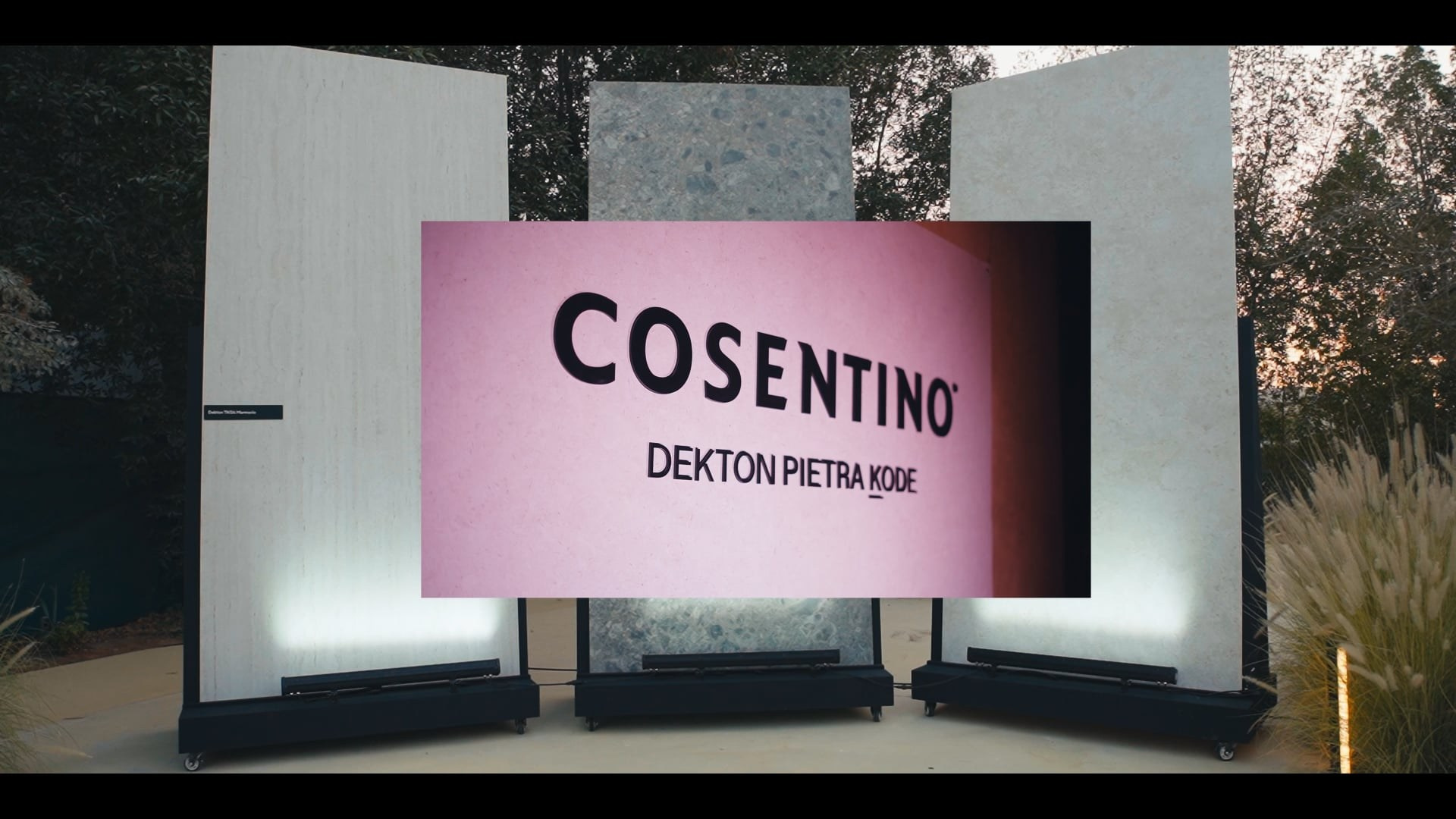 Event. Wedding and event videographer