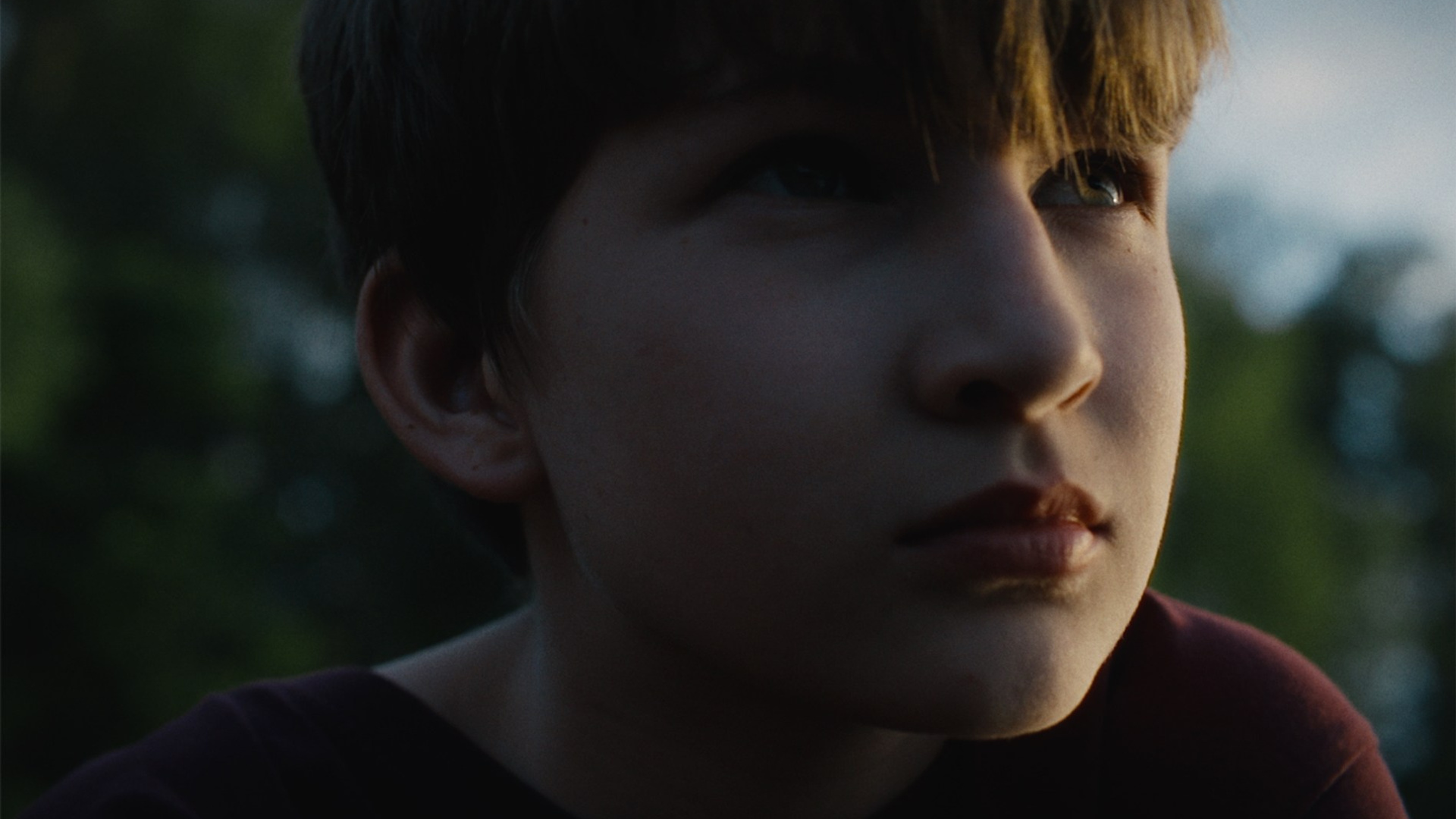 Лиза Голицына — Лошади (music video)