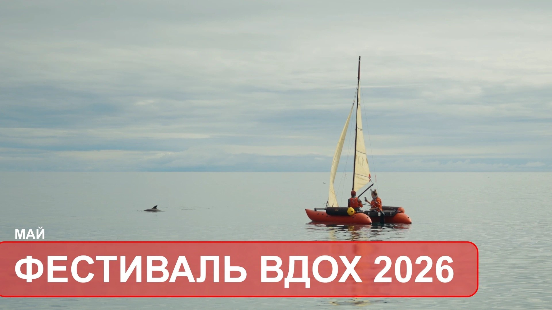 Отчётные видео. Стефан Студия