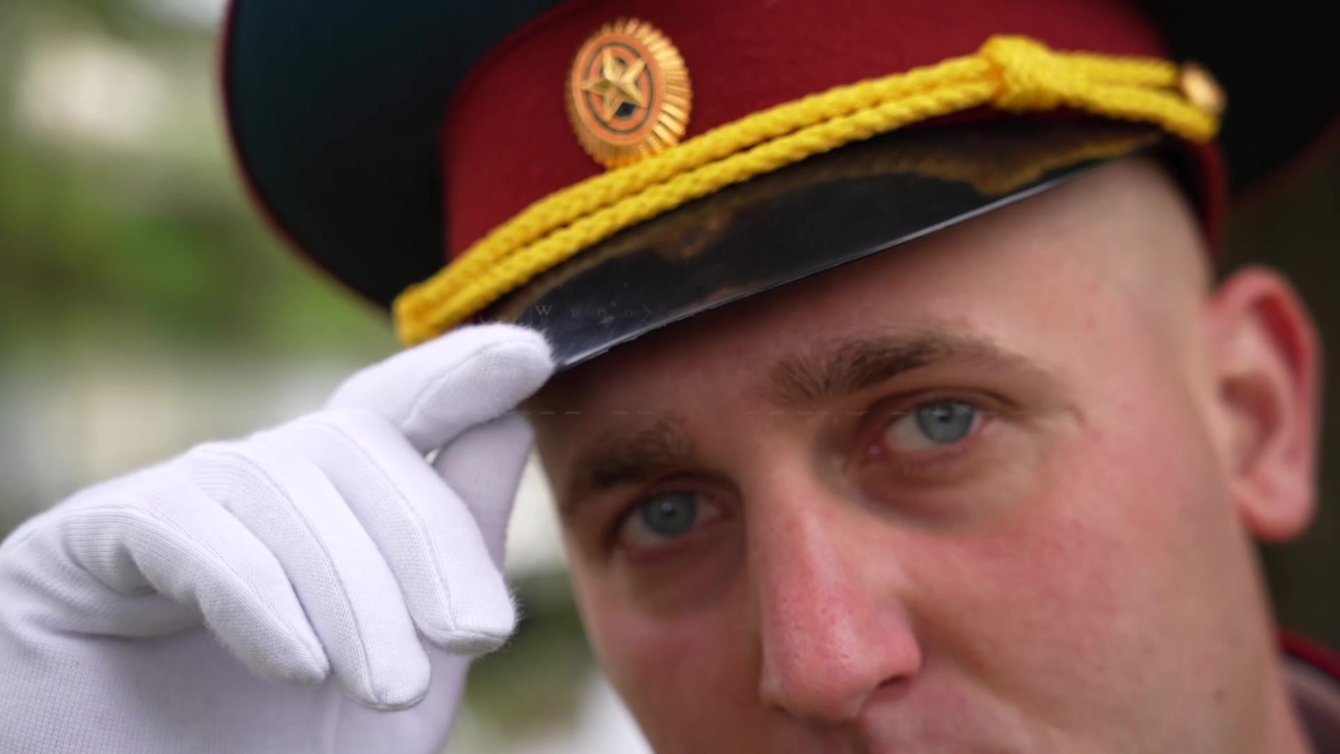 Видеограф Алексей Жарков