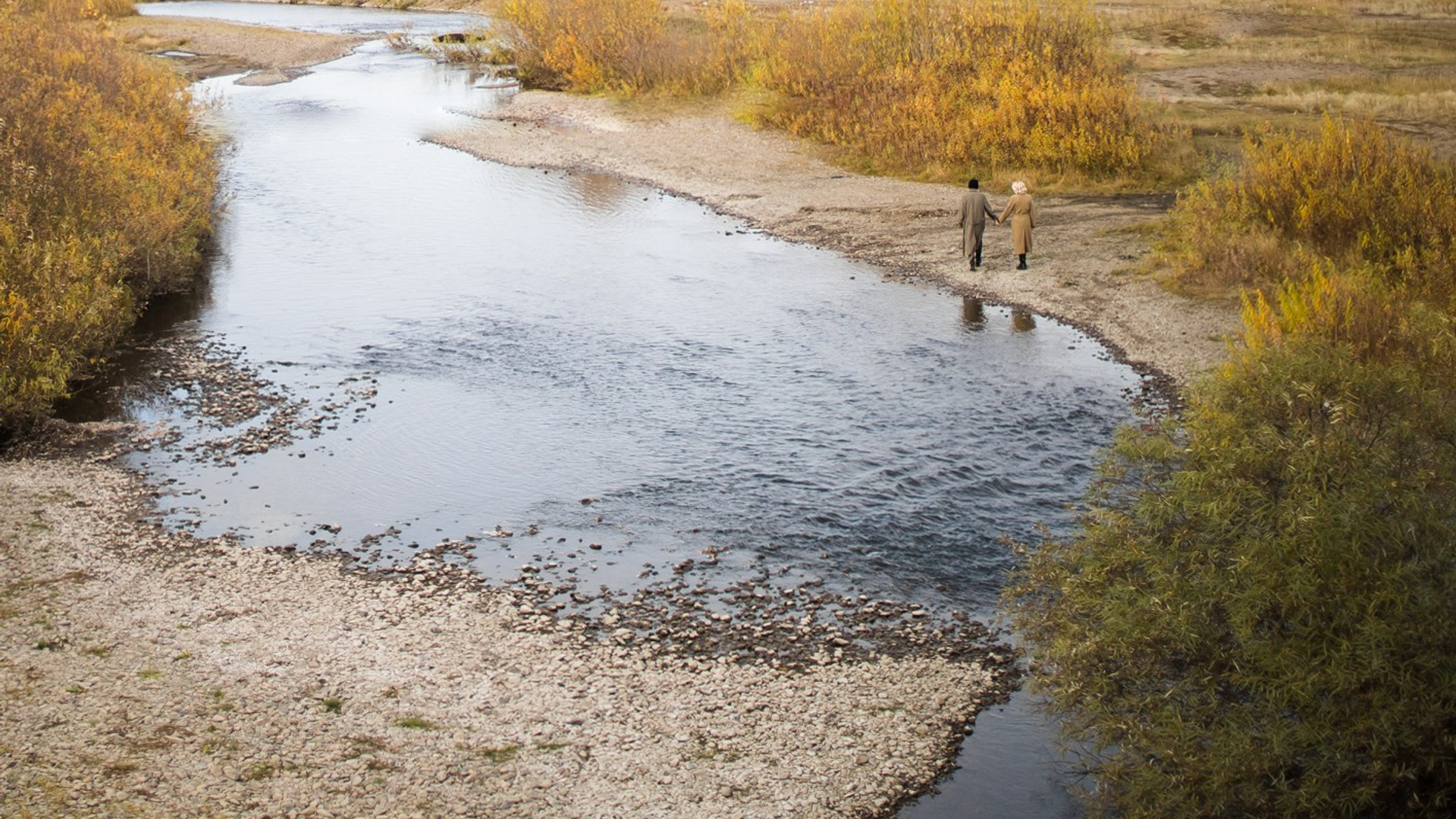 гулять по полям