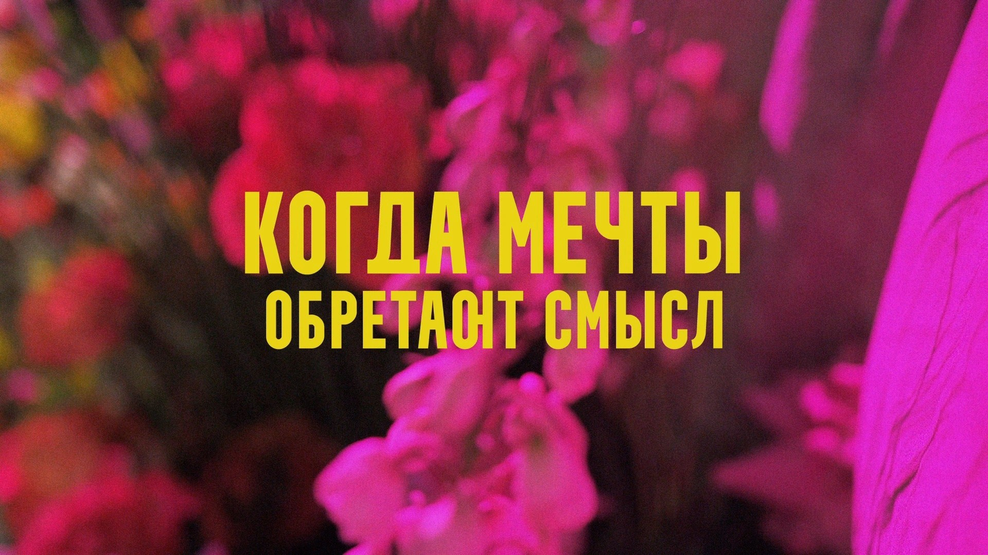 Клипы. Свадебный видеограф в Абакане, Красноярске и Новосибирске