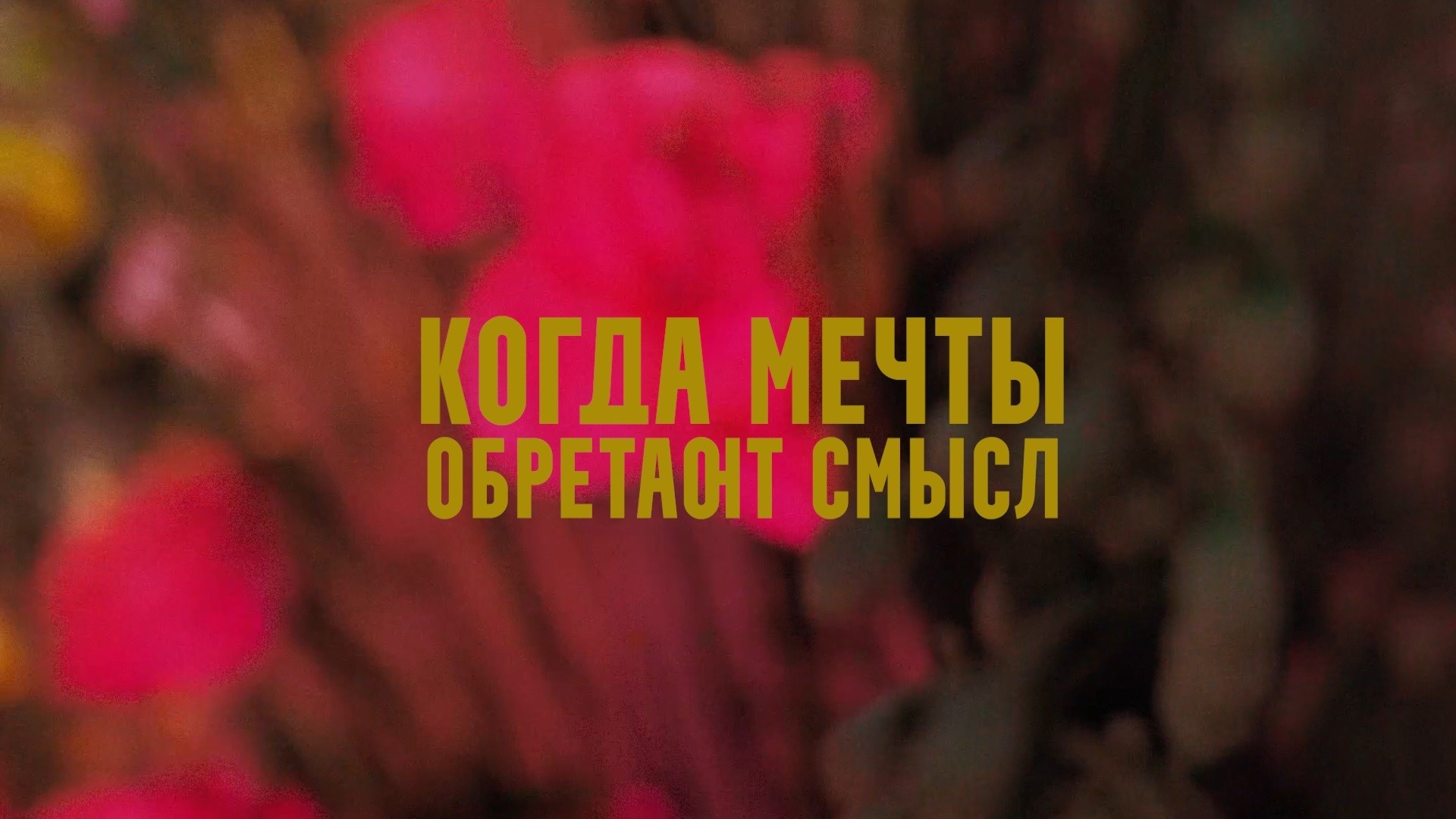 Клипы. Свадебный видеограф в Абакане, Красноярске и Новосибирске