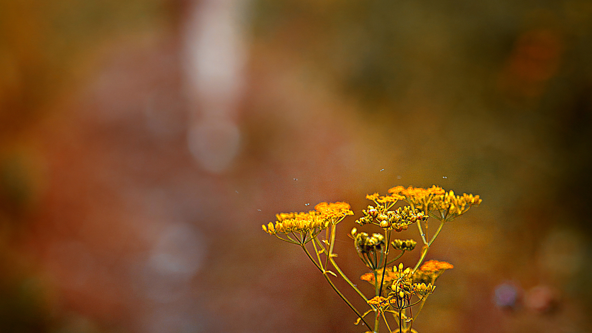 МАМА ДОЧЬ * Катя и Есения