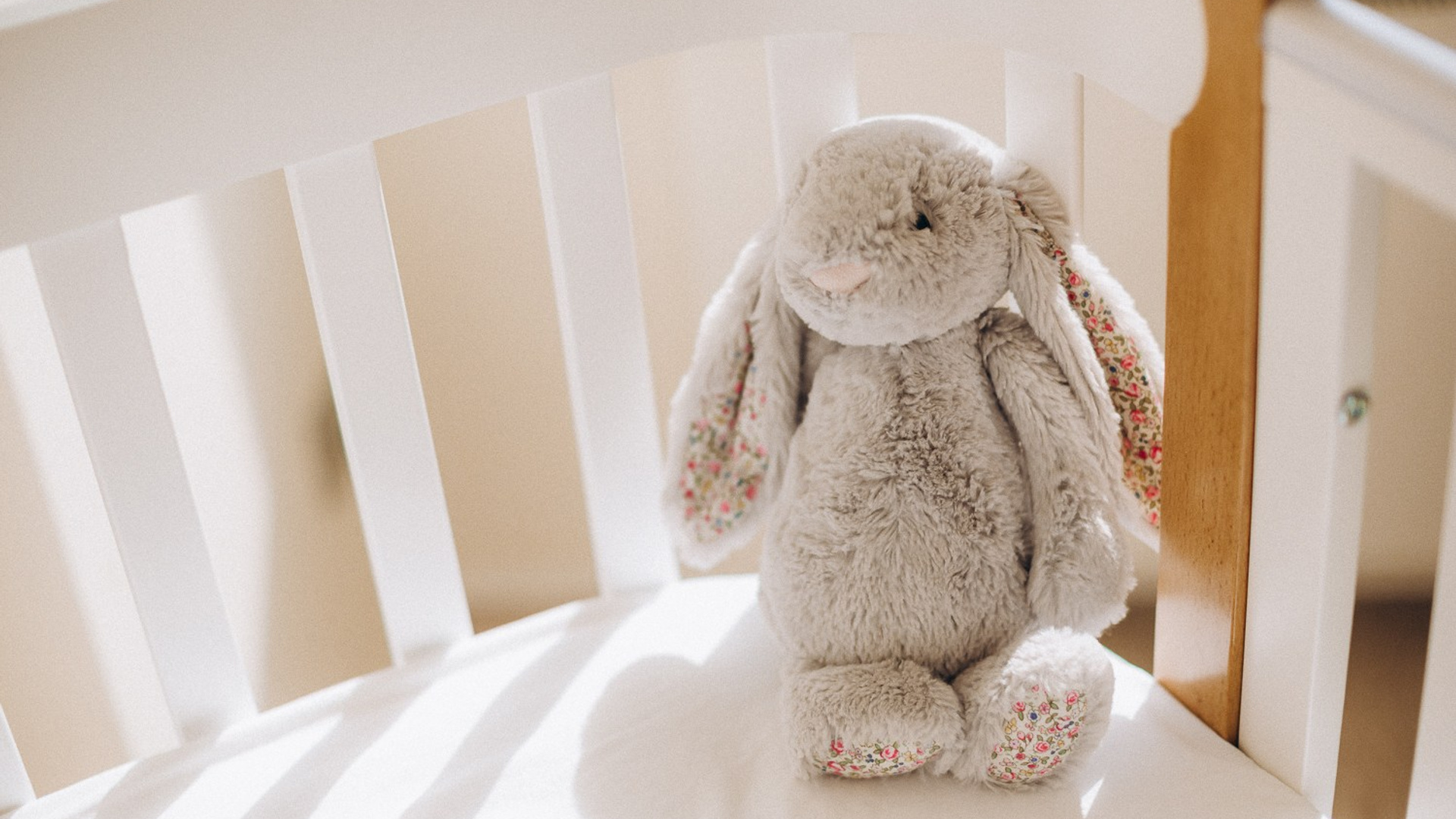 Аврора и целый мир