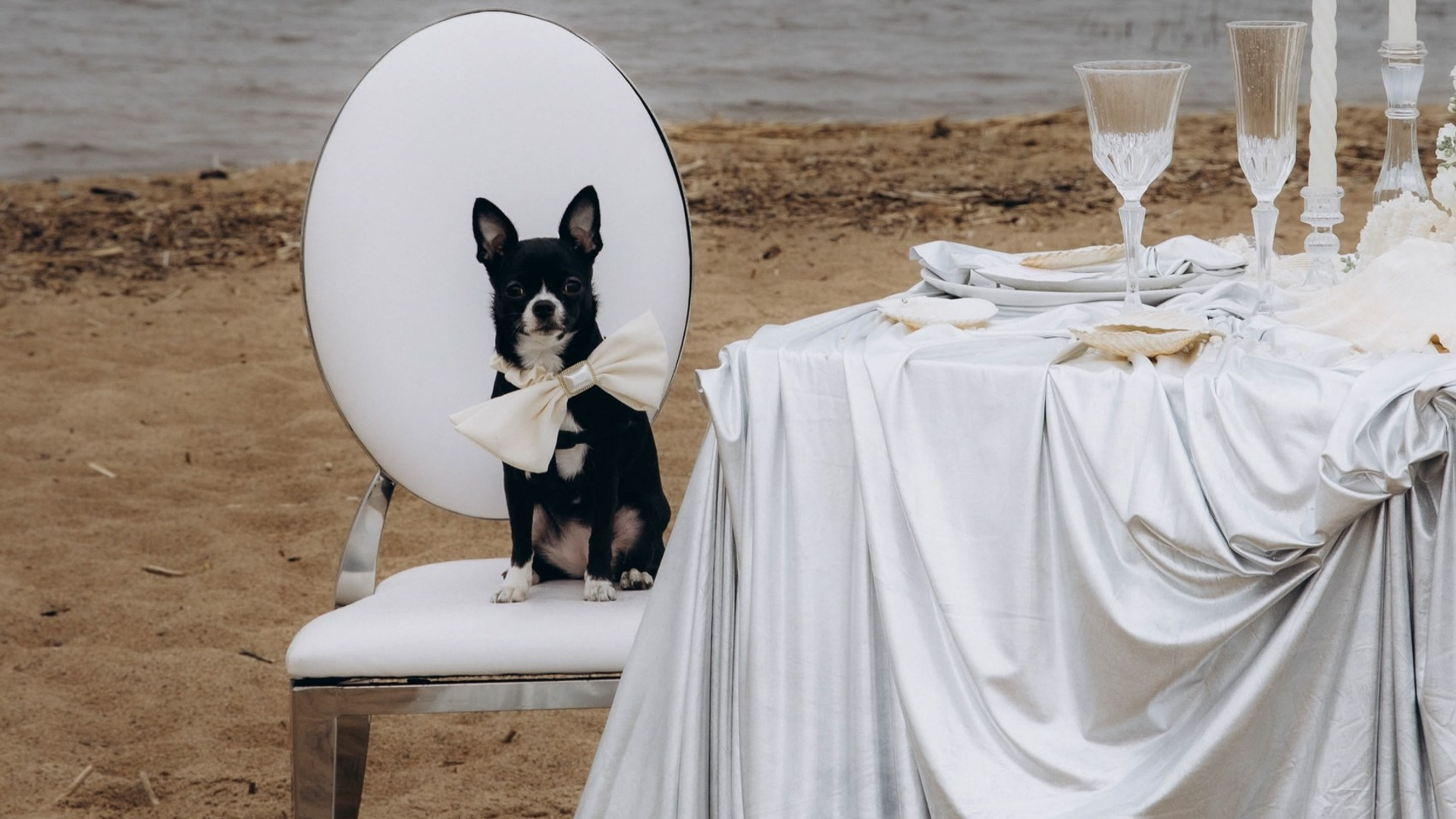 Александр и Полина. Свадебное агентство Amorewed Agency