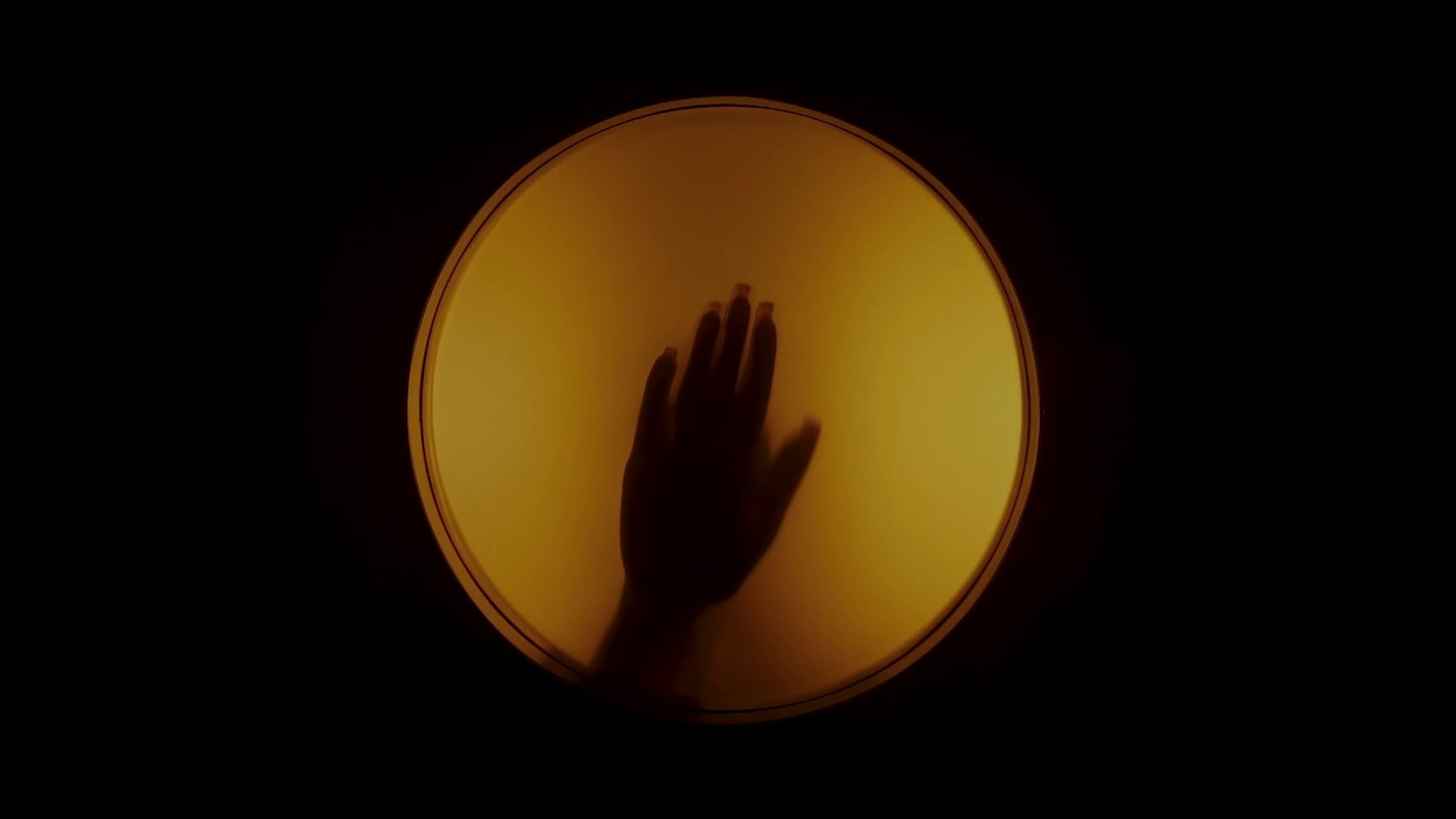 Видеограф Илья Новиков — Профессиональная видеосъемка в Москве, Санкт-Петербурге, Екатеринбурге, Калининграде. Видеограф, фотограф Илья Новиков Москва, Екатеринбург, Калининград