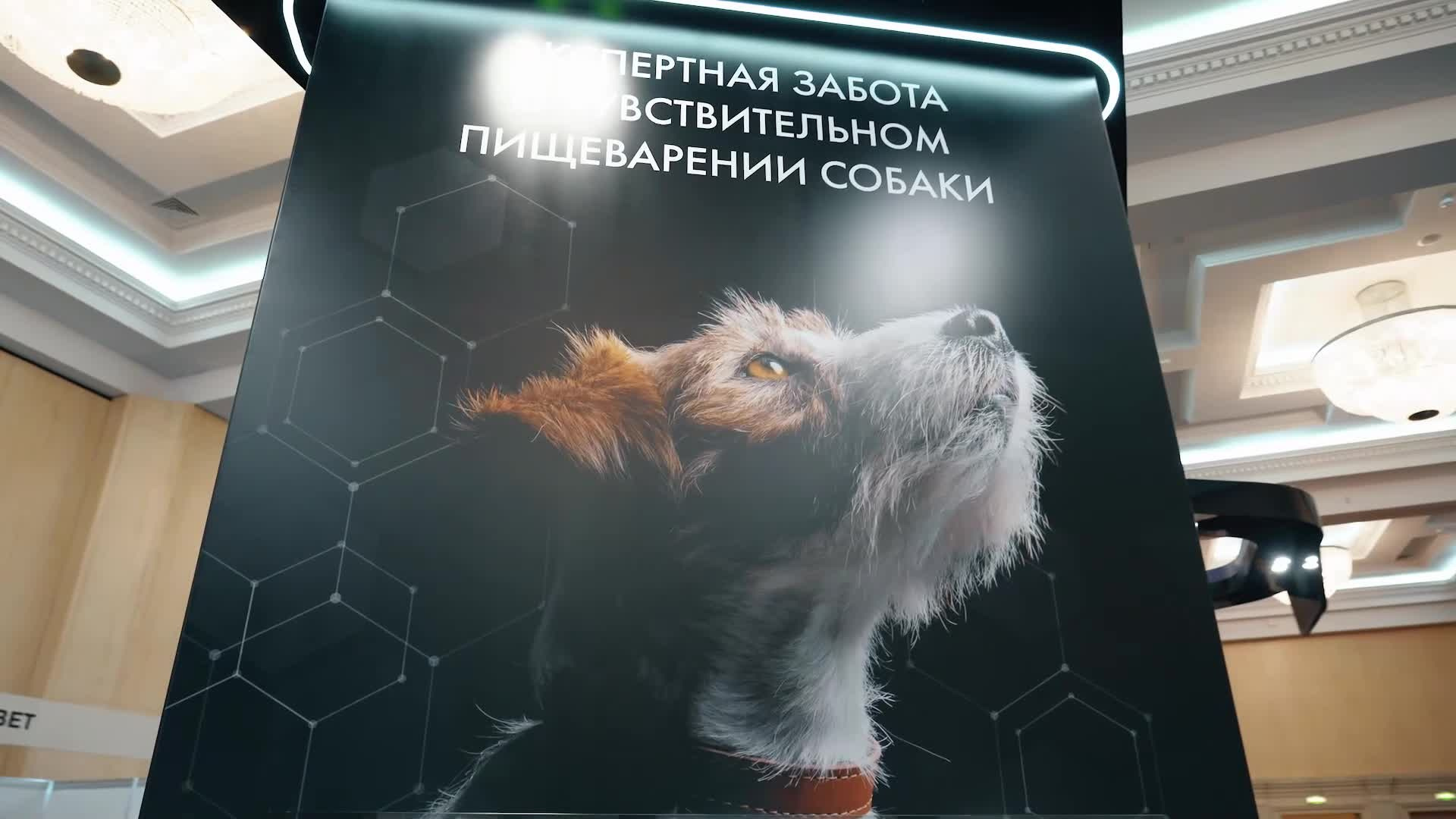 Видеосъёмка выставок. Видеограф в Москве Сергей Евсеев