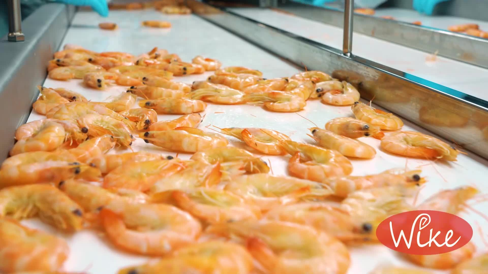 Видеосъёмка. Видеограф в Москве Сергей Евсеев