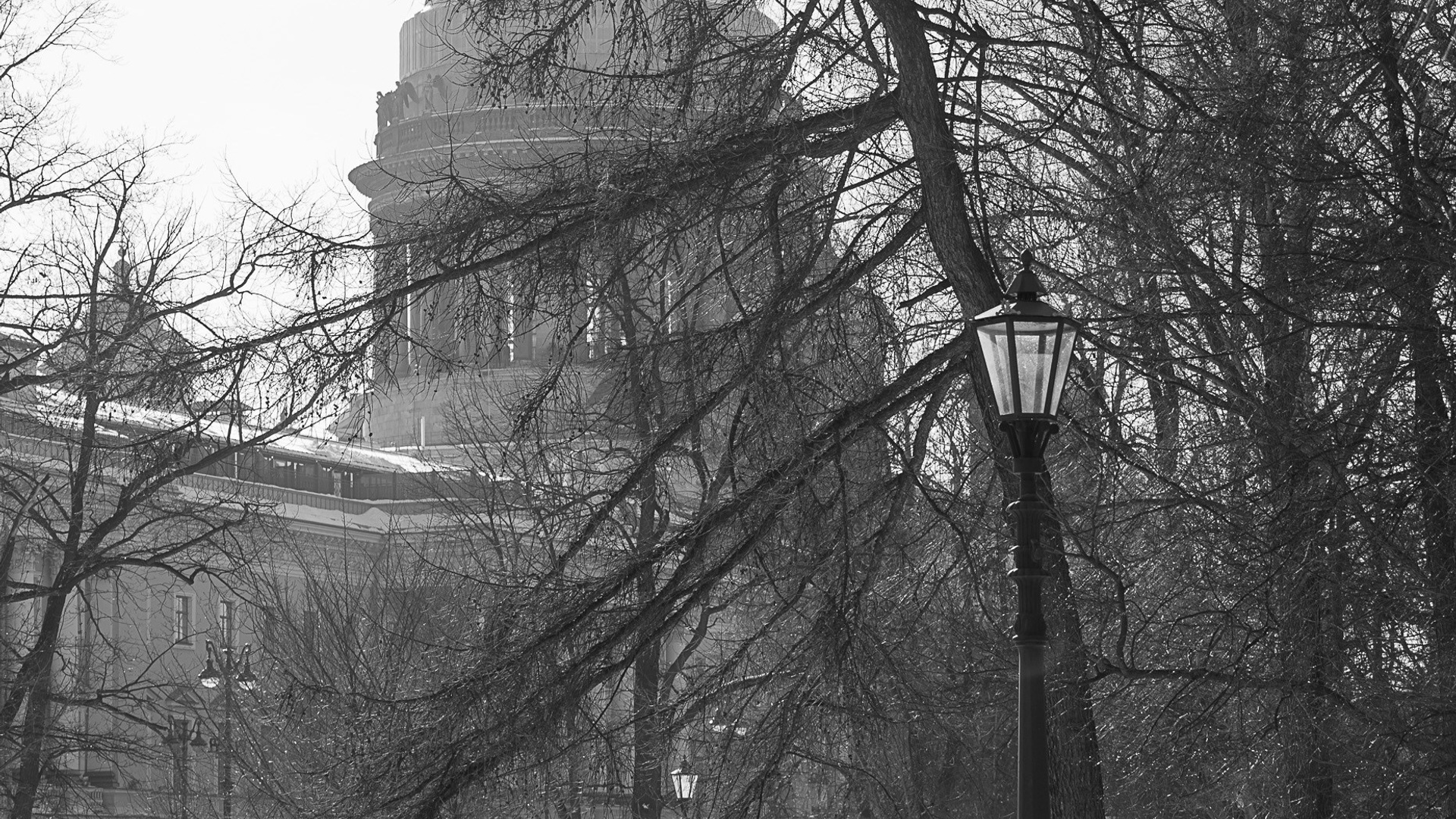 Город между строк / Санкт — Петербург