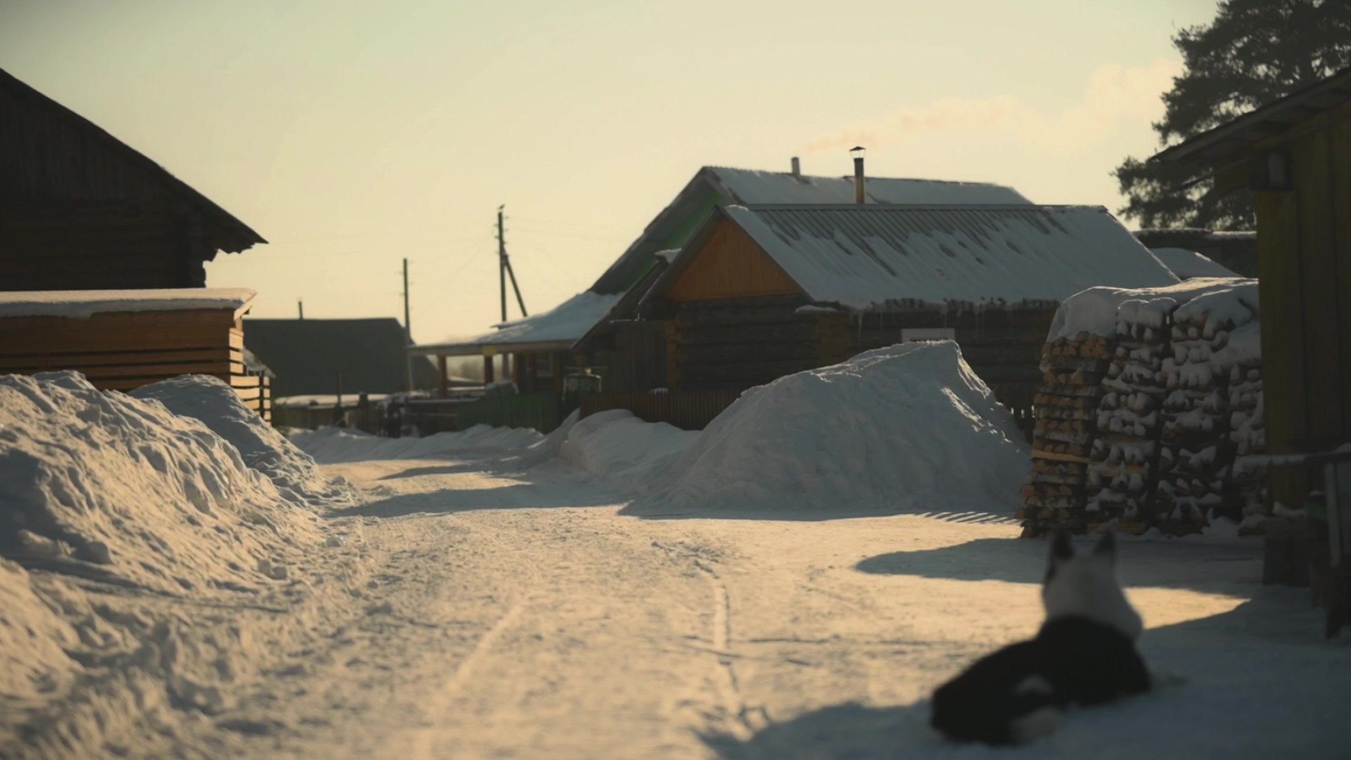 Видео. Детский и семейный фотограф