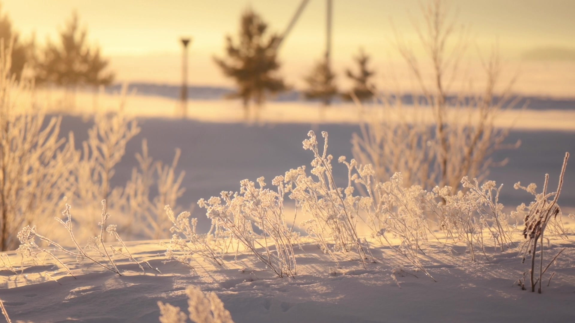 Видео. Детский и семейный фотограф