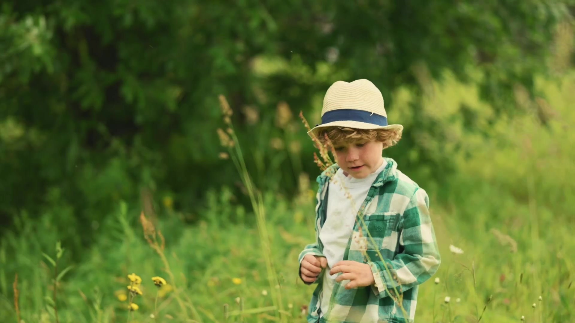 Видео. Детский и семейный фотограф