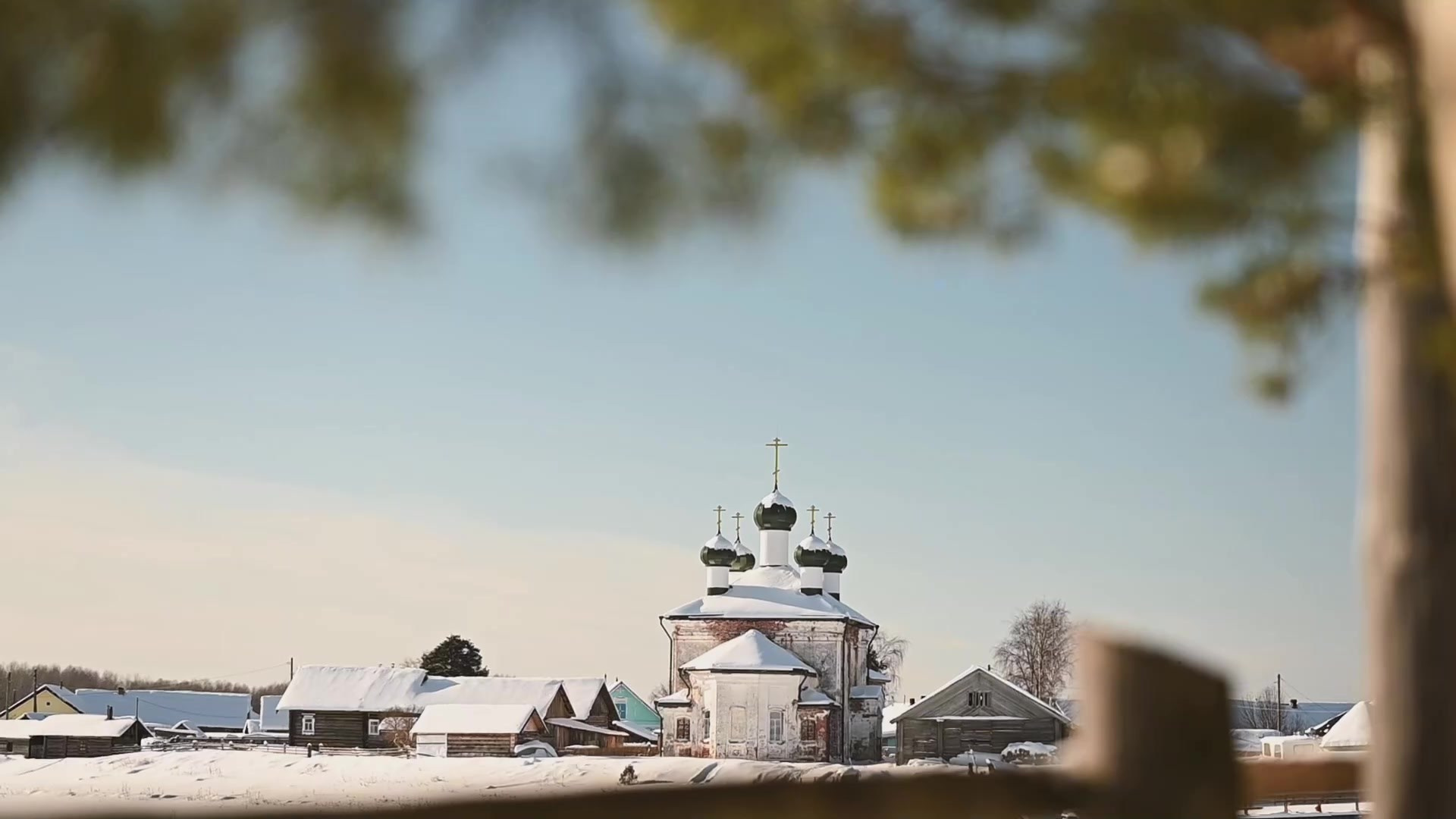 Видео. Детский и семейный фотограф
