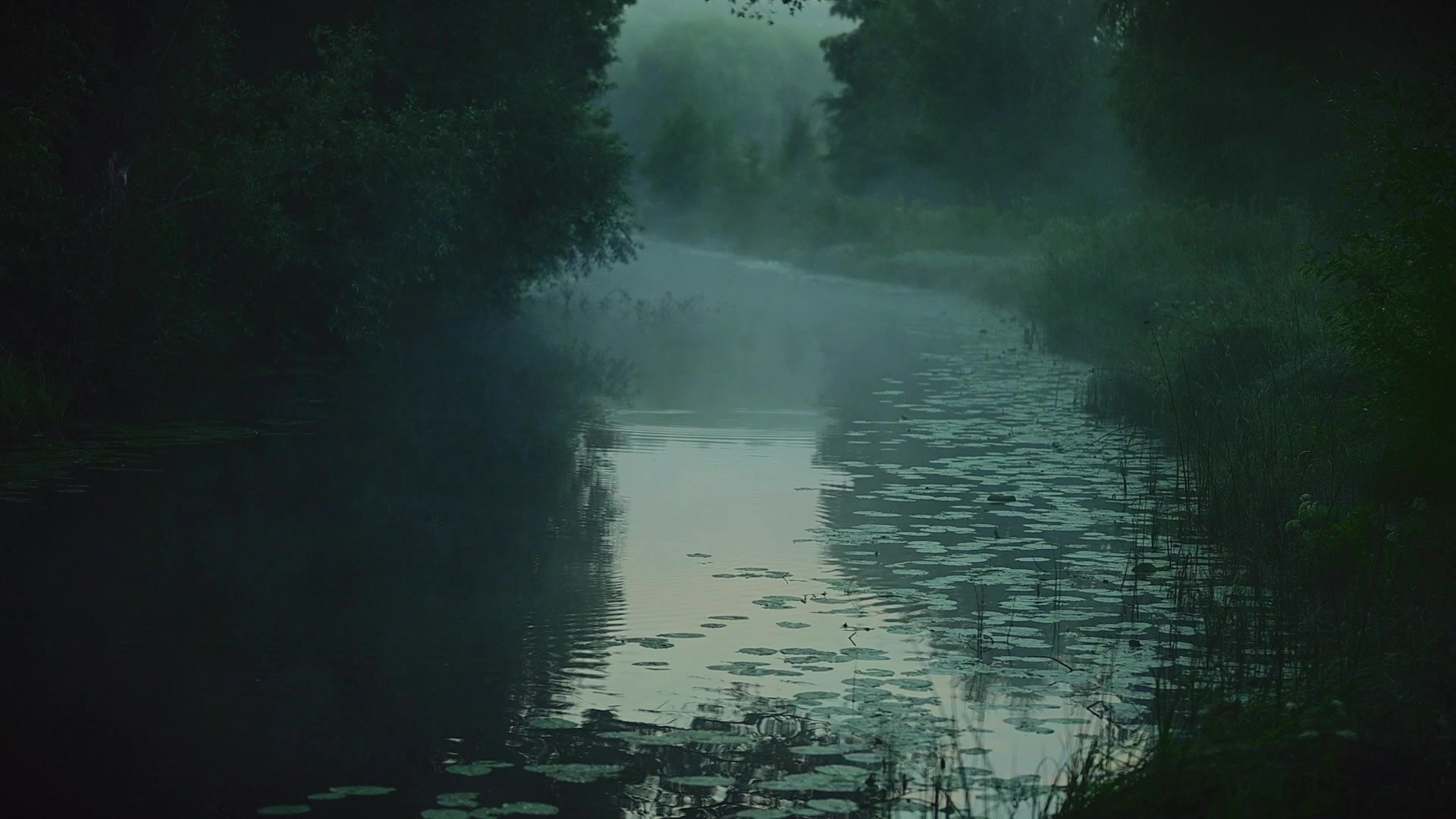 Reels. Детский и семейный фотограф