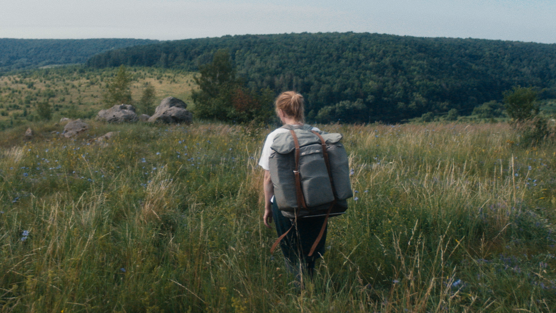 Дима Масленников «Новый перевал Дятлова». Цветокоррекция & Color Grading