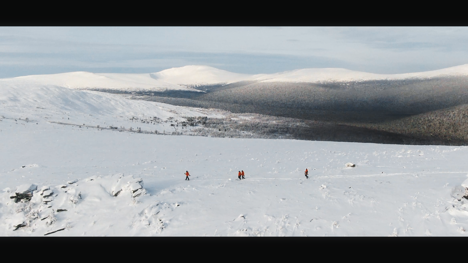 Дима Масленников «Новый перевал Дятлова». Цветокоррекция & Color Grading