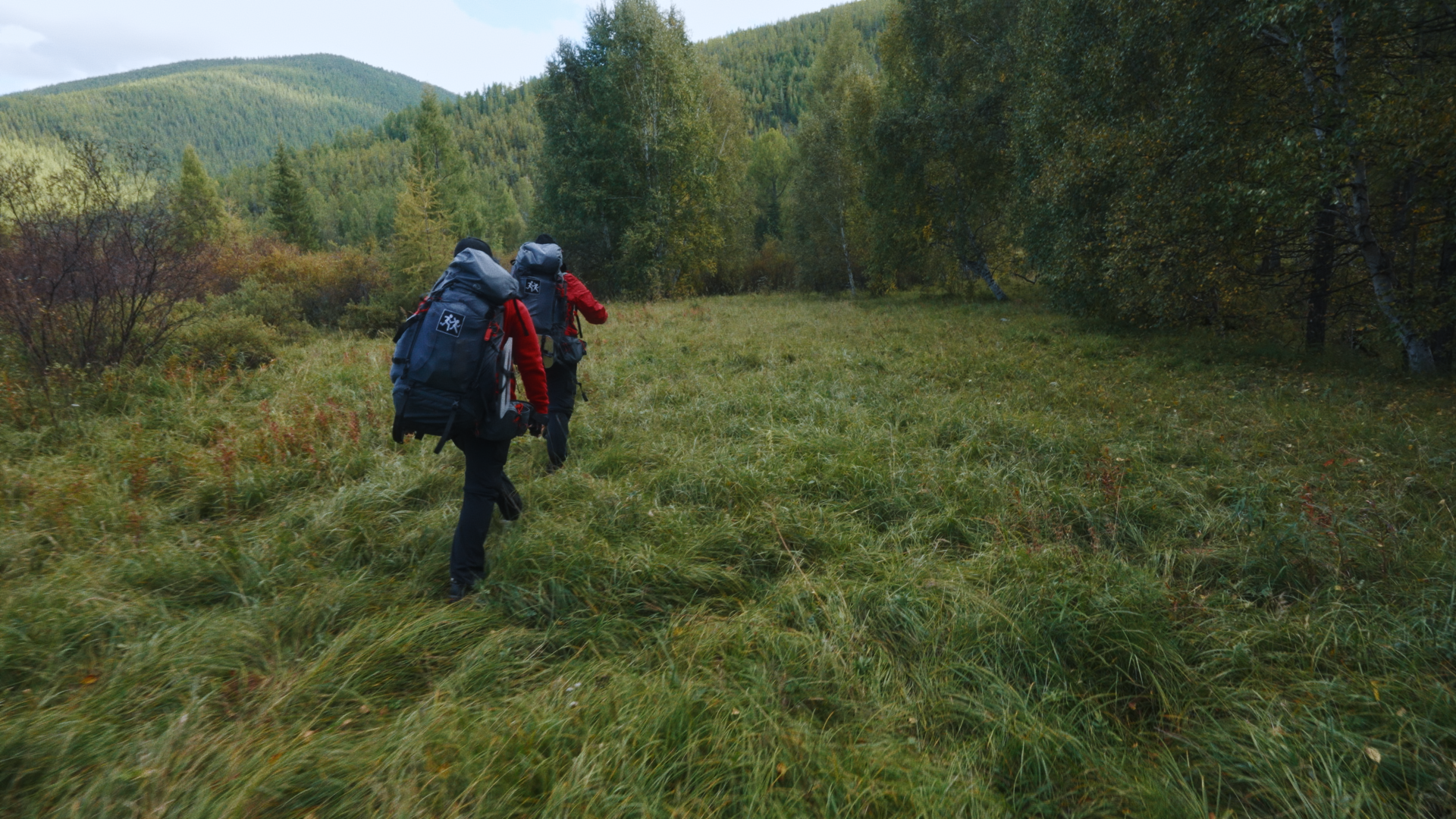 Дима Масленников «Новый перевал Дятлова». Цветокоррекция & Color Grading