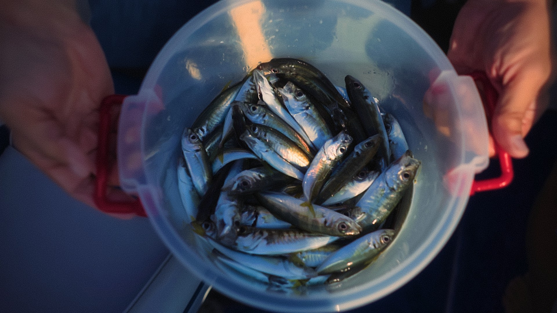 Family Fishing. Цветокоррекция & Color Grading