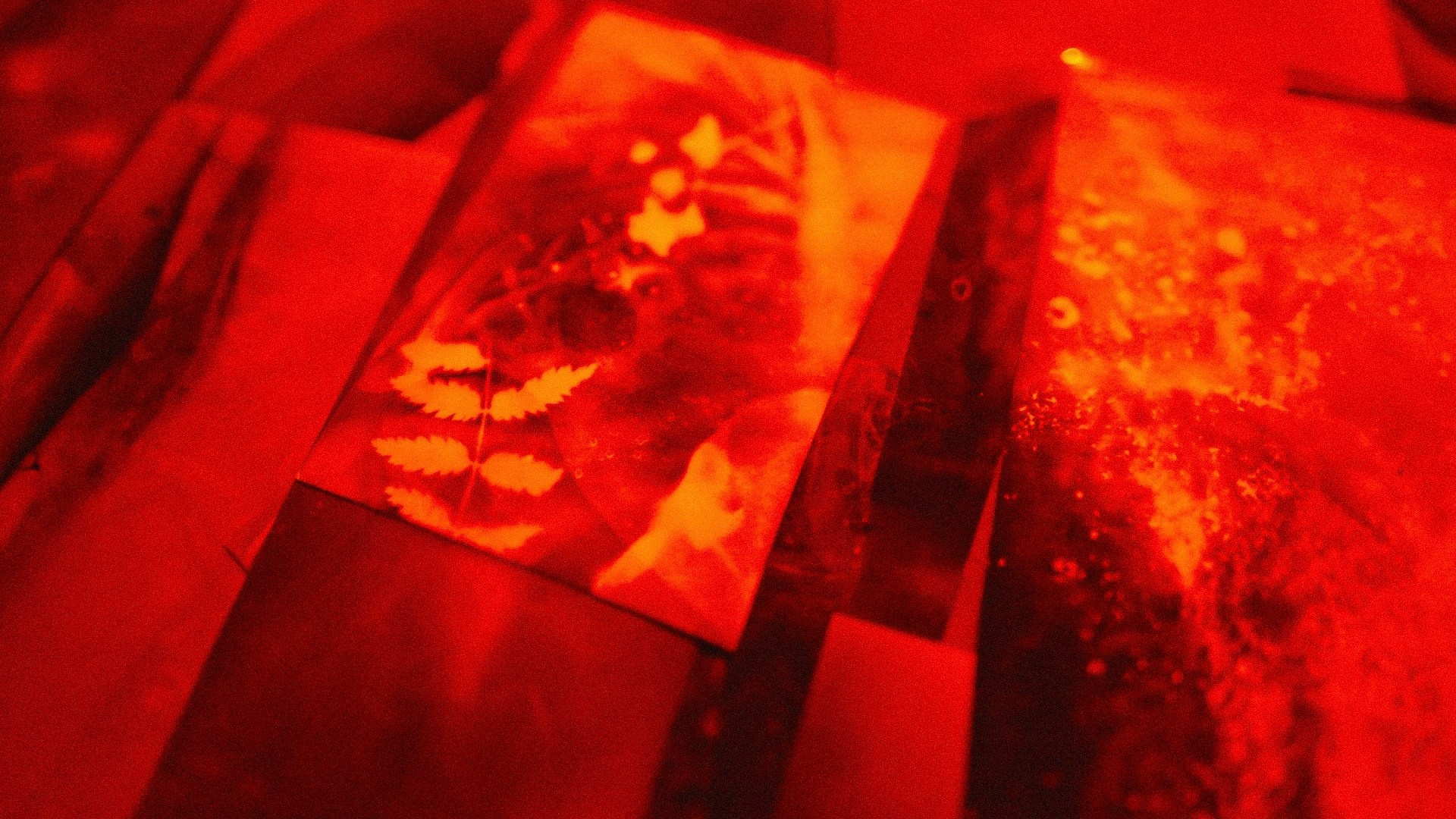 Видео. Видеограф в Санкт-Петербурге Анастасия Коок