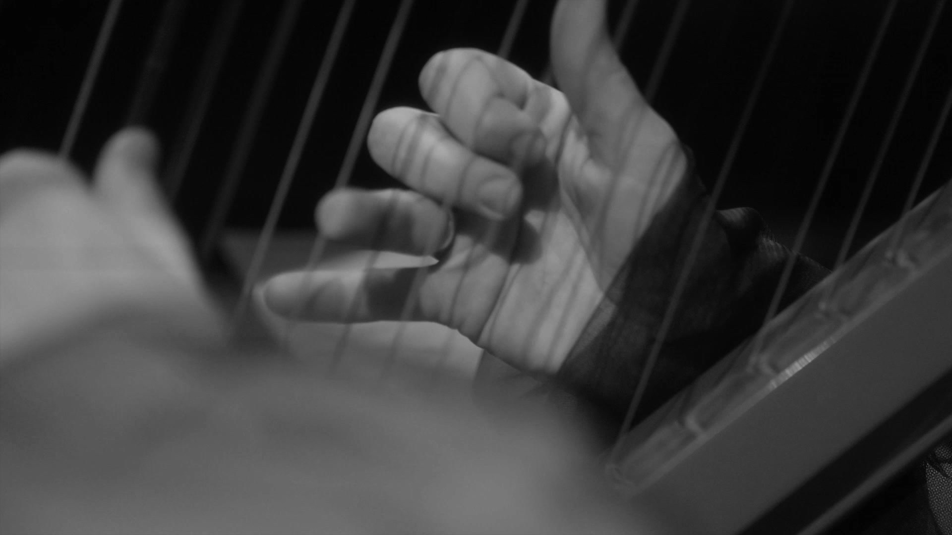 Видео. Видеограф в Санкт-Петербурге Анастасия Коок