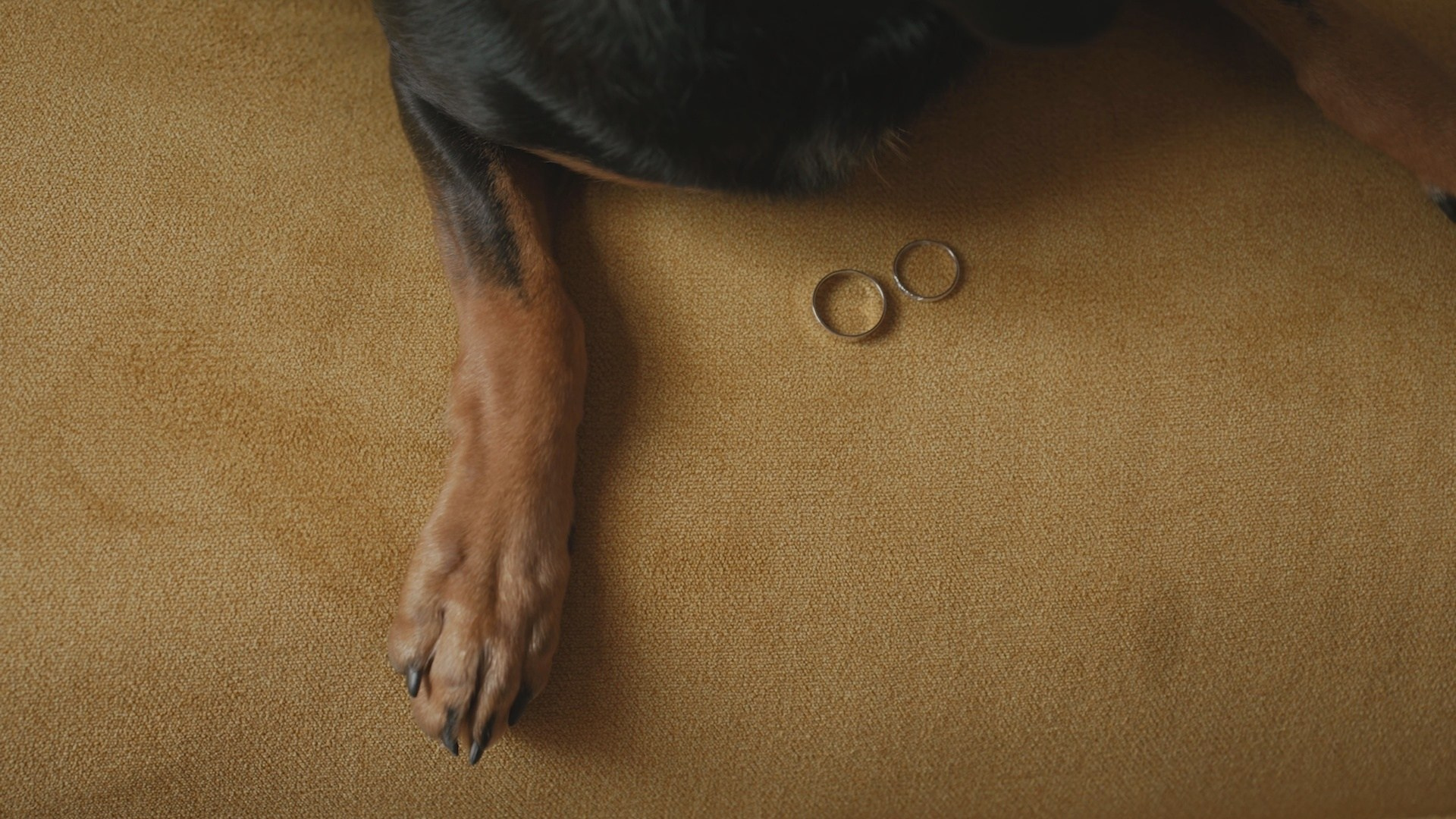 Свадебные видео. Видеограф Санкт-Петербург