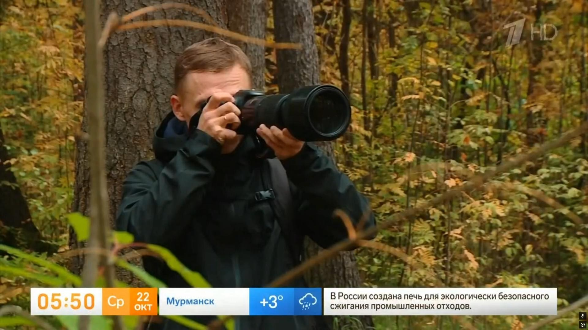 Видео с фотоловушек. GREEN UDMURTIA. Фотографии дикой природы
