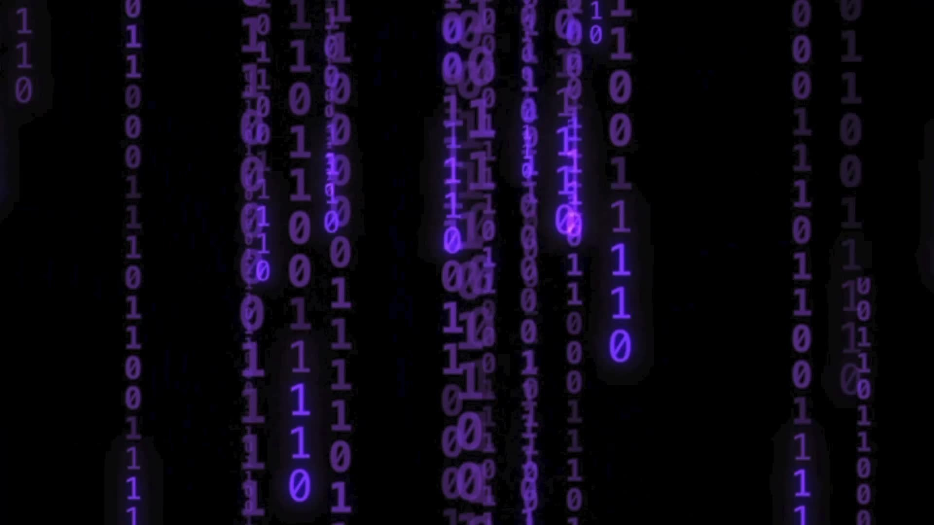 Промо-ролики для бизнеса