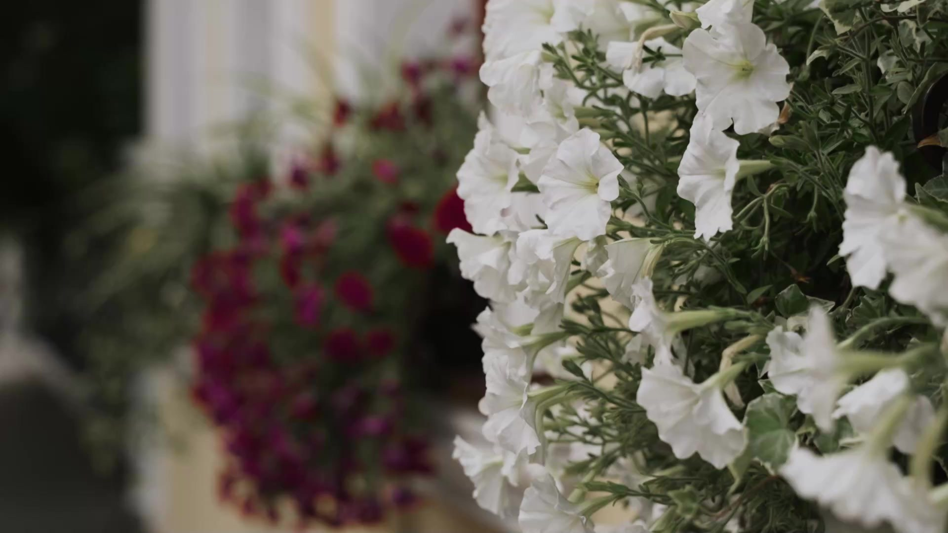 Интересные репортажи. Видеограф в Москве и Подмосковье. Красивая съемка важных событий!