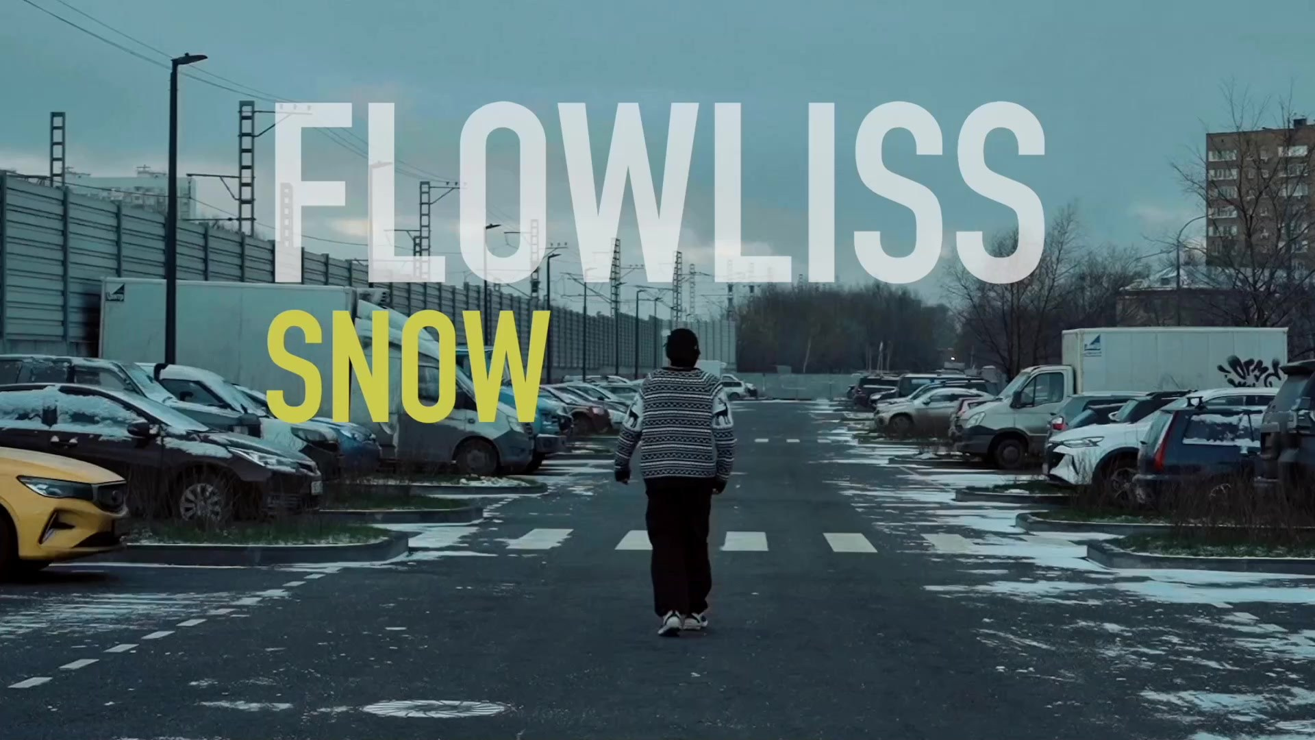 КЛИПЫ И СНИПЕТЫ. Марк Лиманский