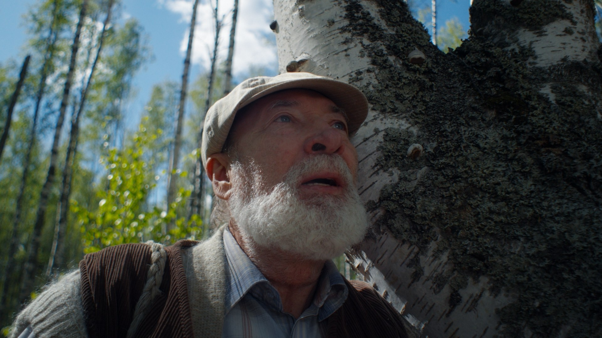 ПОЛЯНА ЛИСИЧЕК. К/М ФИЛЬМ